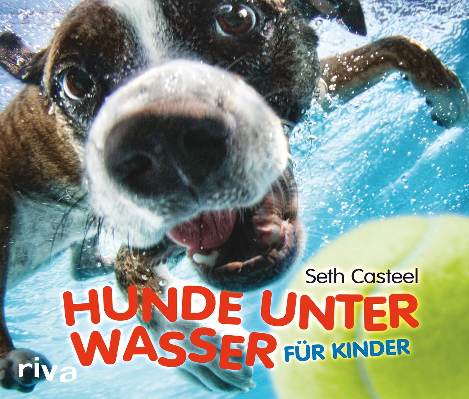 Hunde unter Wasser für Kinder Pets