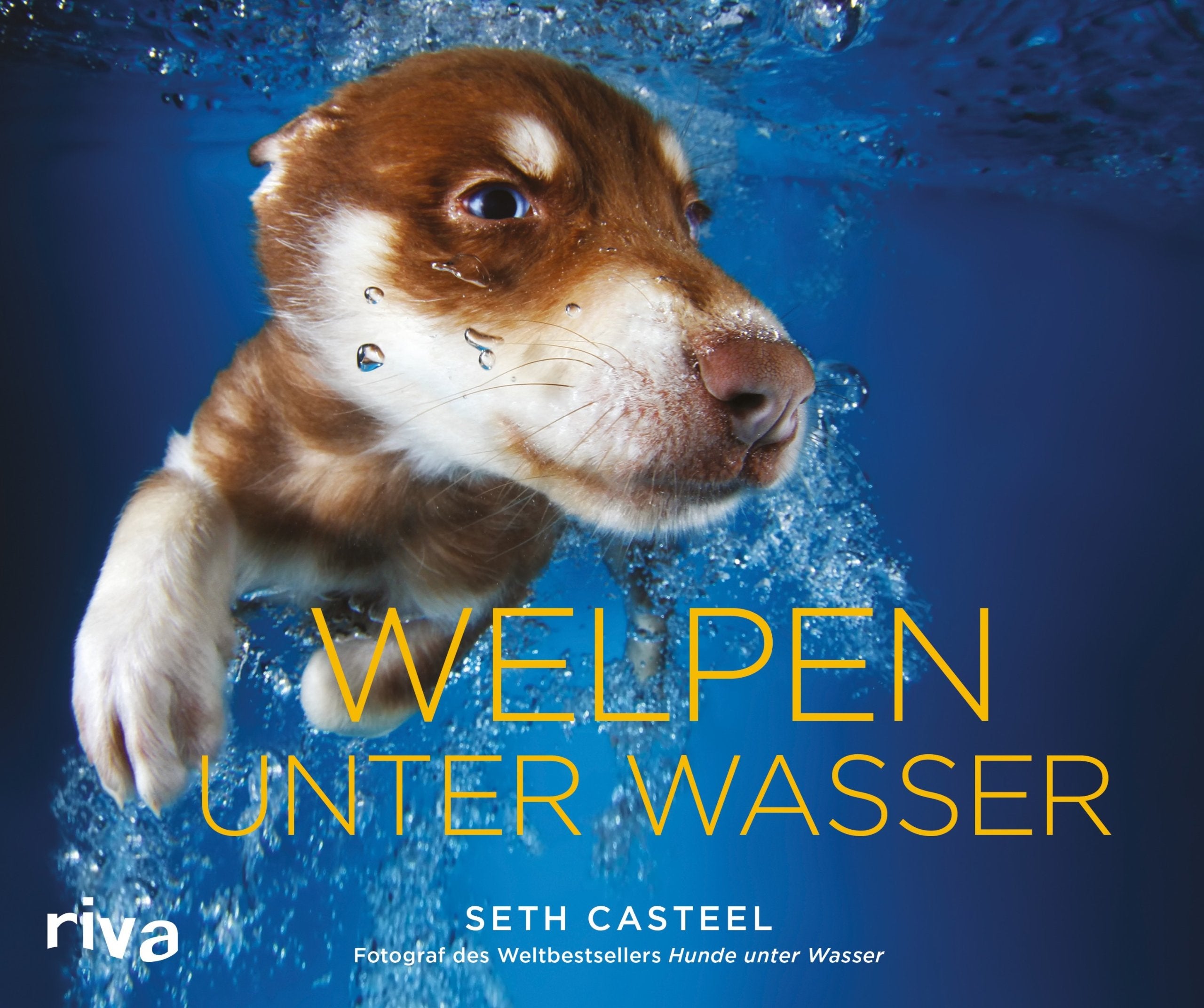 Welpen unter Wasser Humour & Satire
