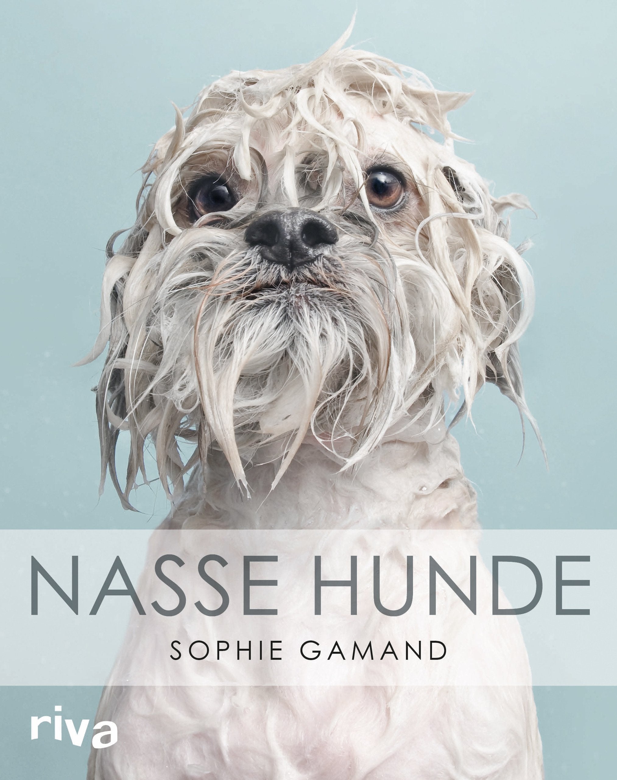 Product Image: Nasse Hunde