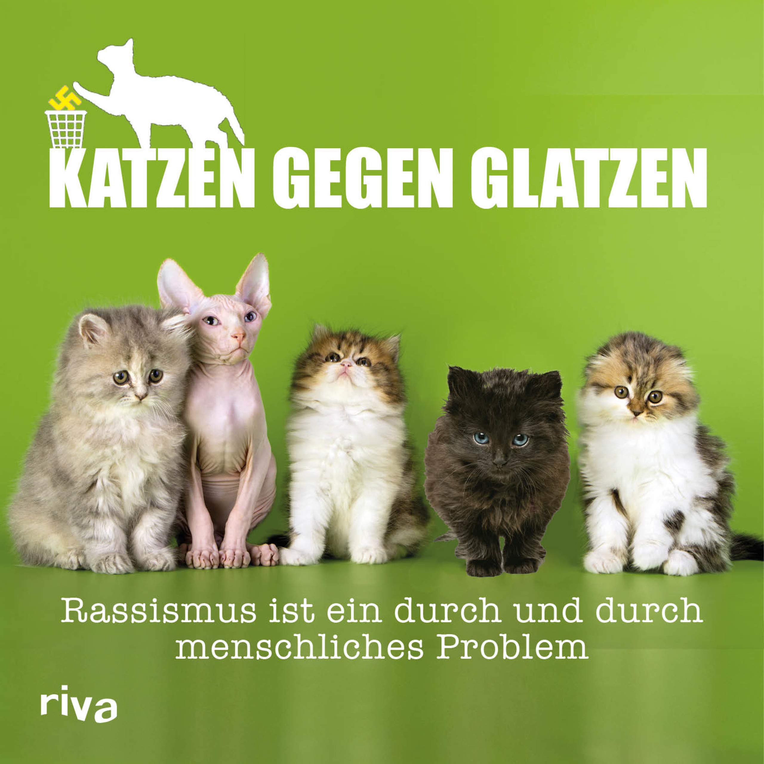 Katzen gegen Glatzen Lifestyle