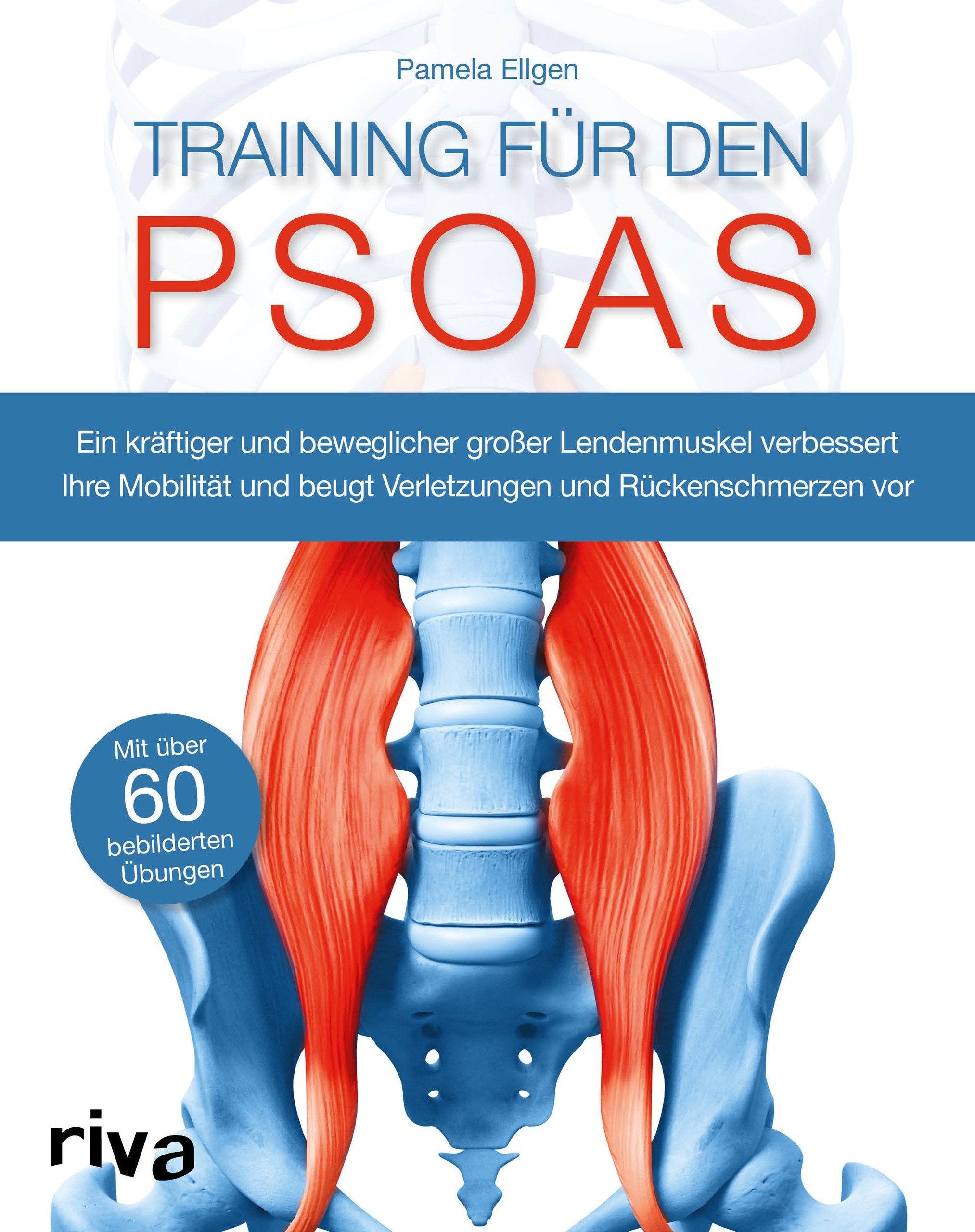 Training für den Psoas Health, Nutrition & Fitness