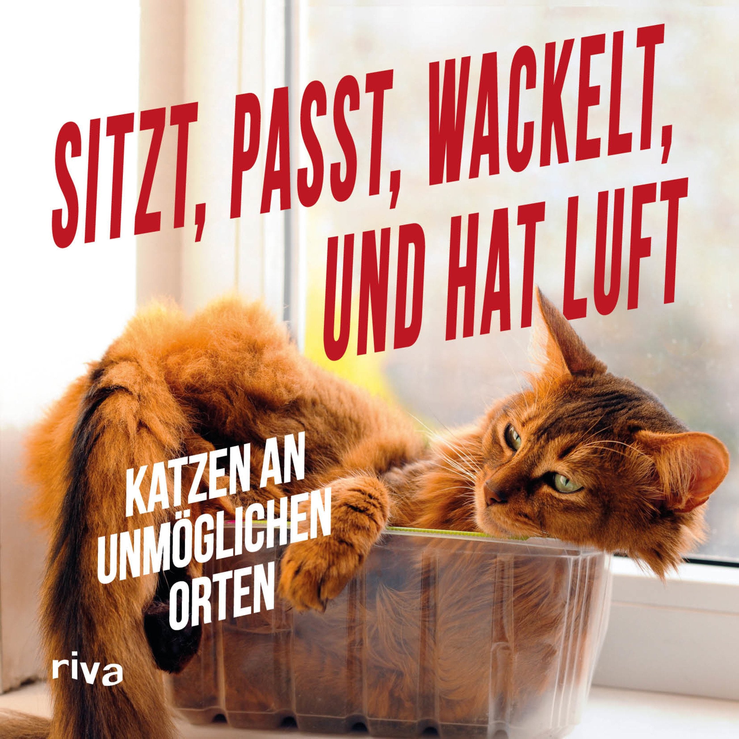 Sitzt, passt, wackelt und hat Luft Humour & Satire