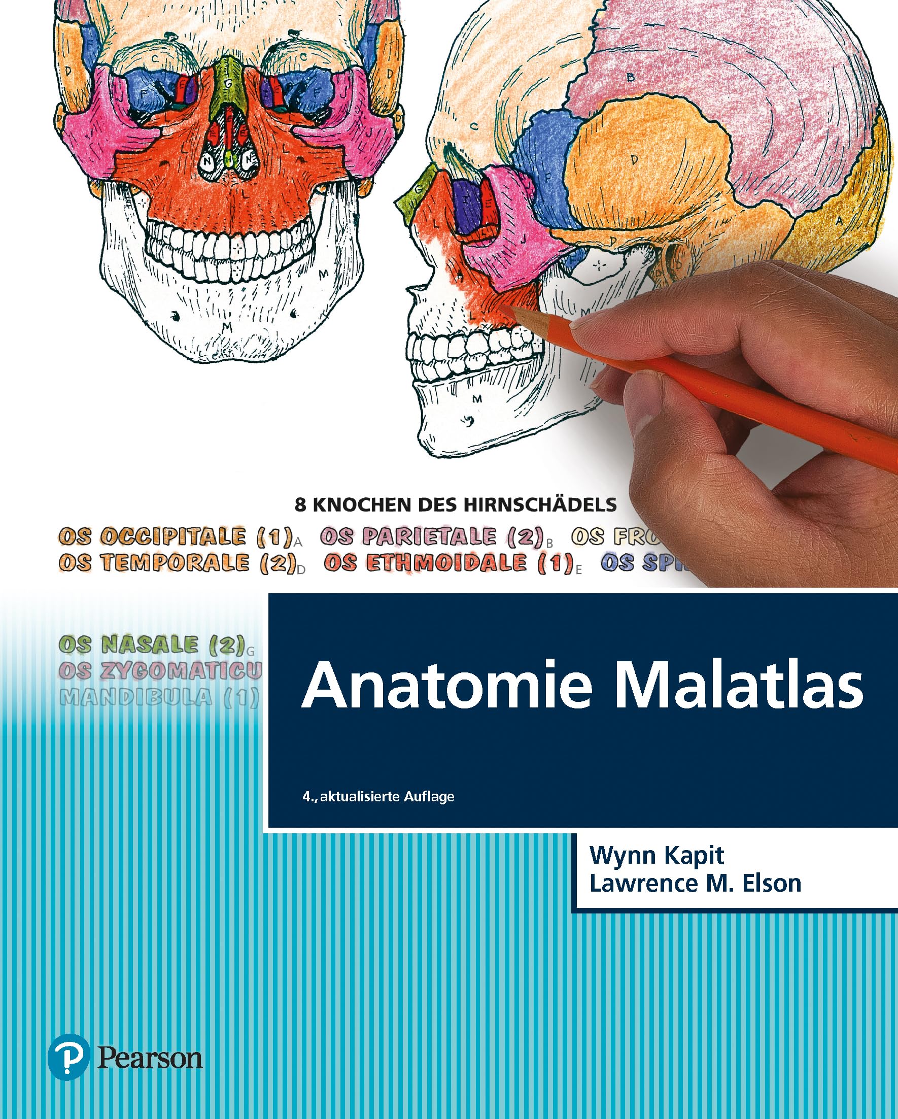 Anatomie Malatlas Medicine Books