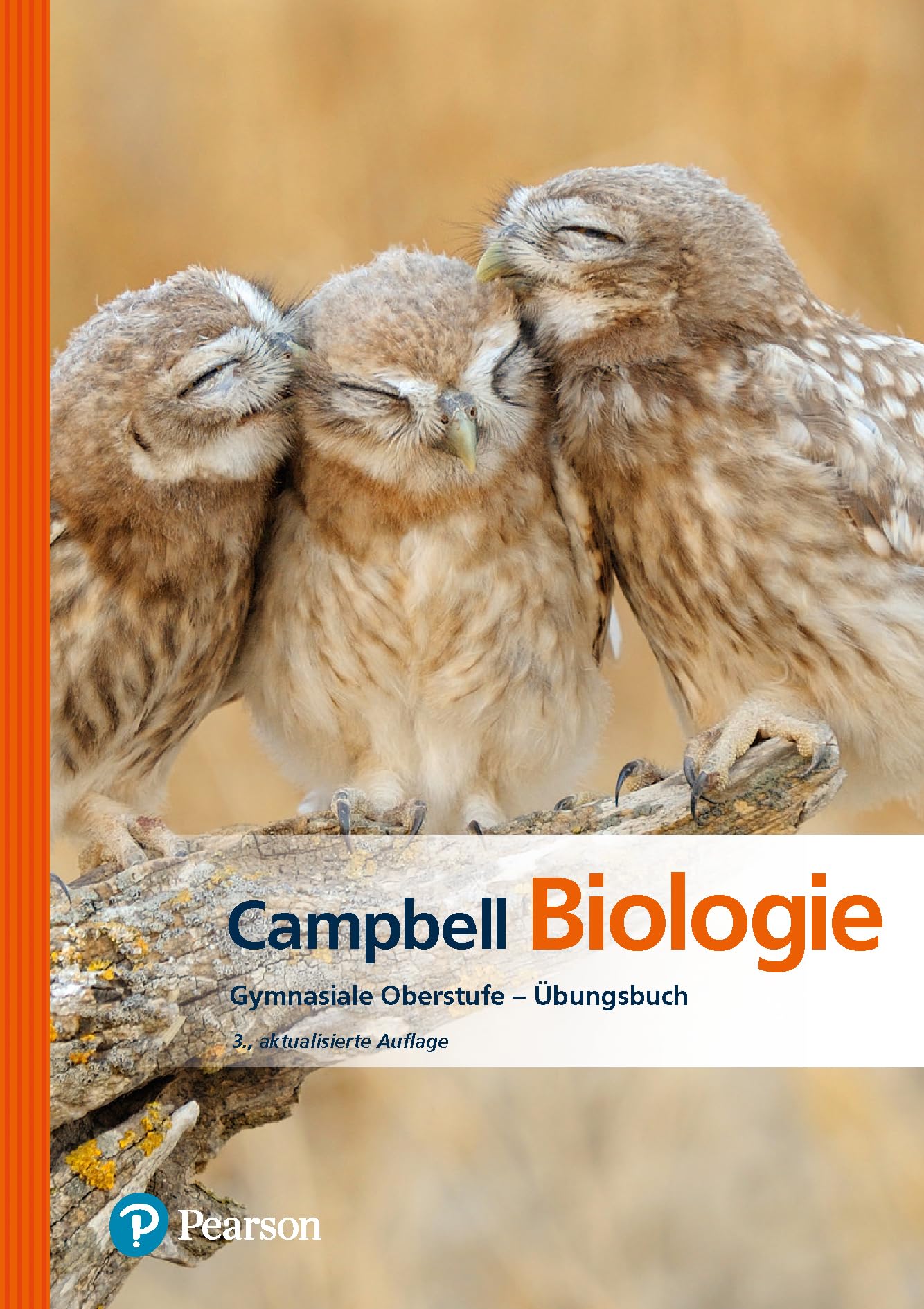 Campbell Biologie Gymnasiale Oberstufe. Das Übungsbuch Study Guides