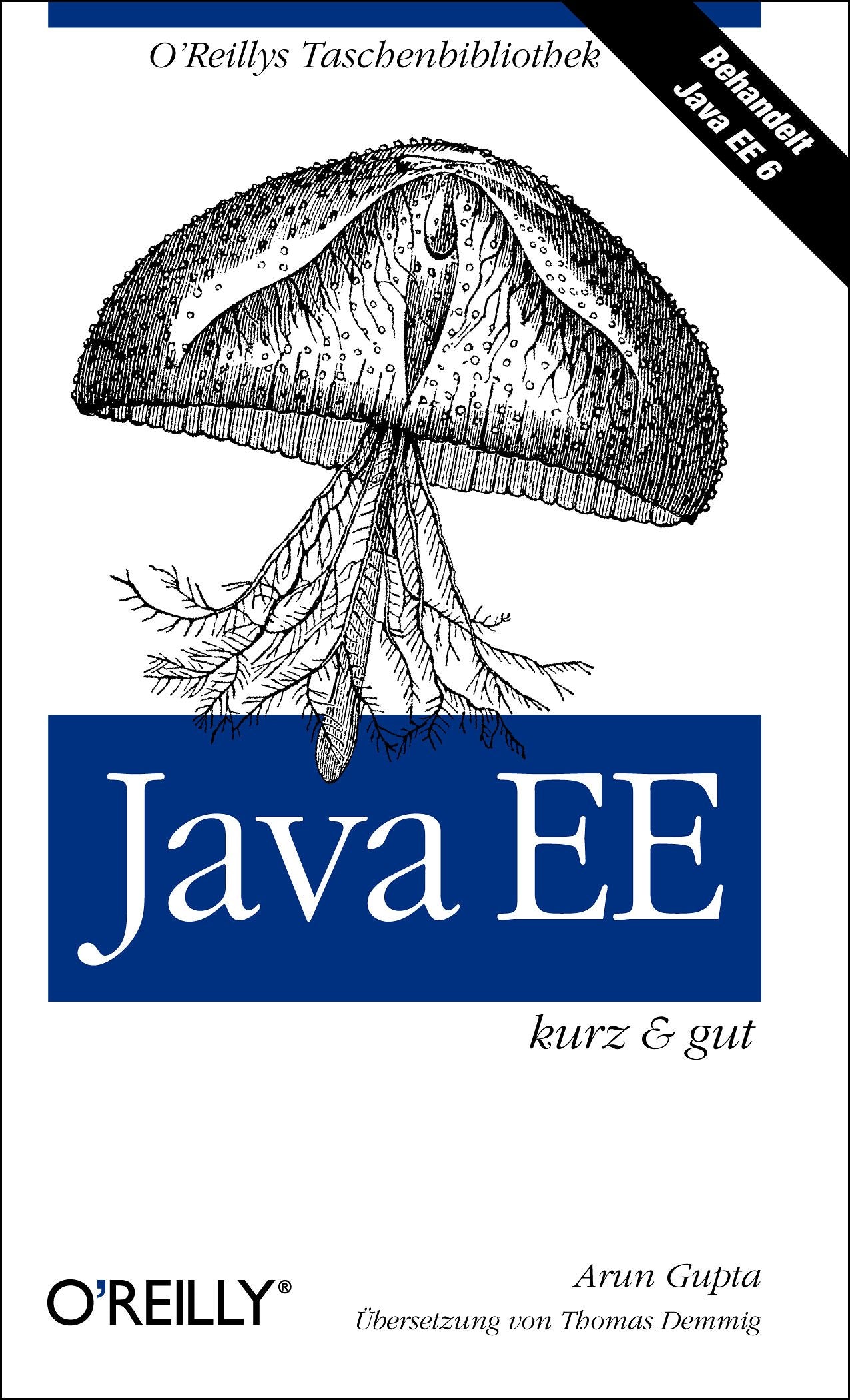 Java EE - kurz & gut Computer Science Books