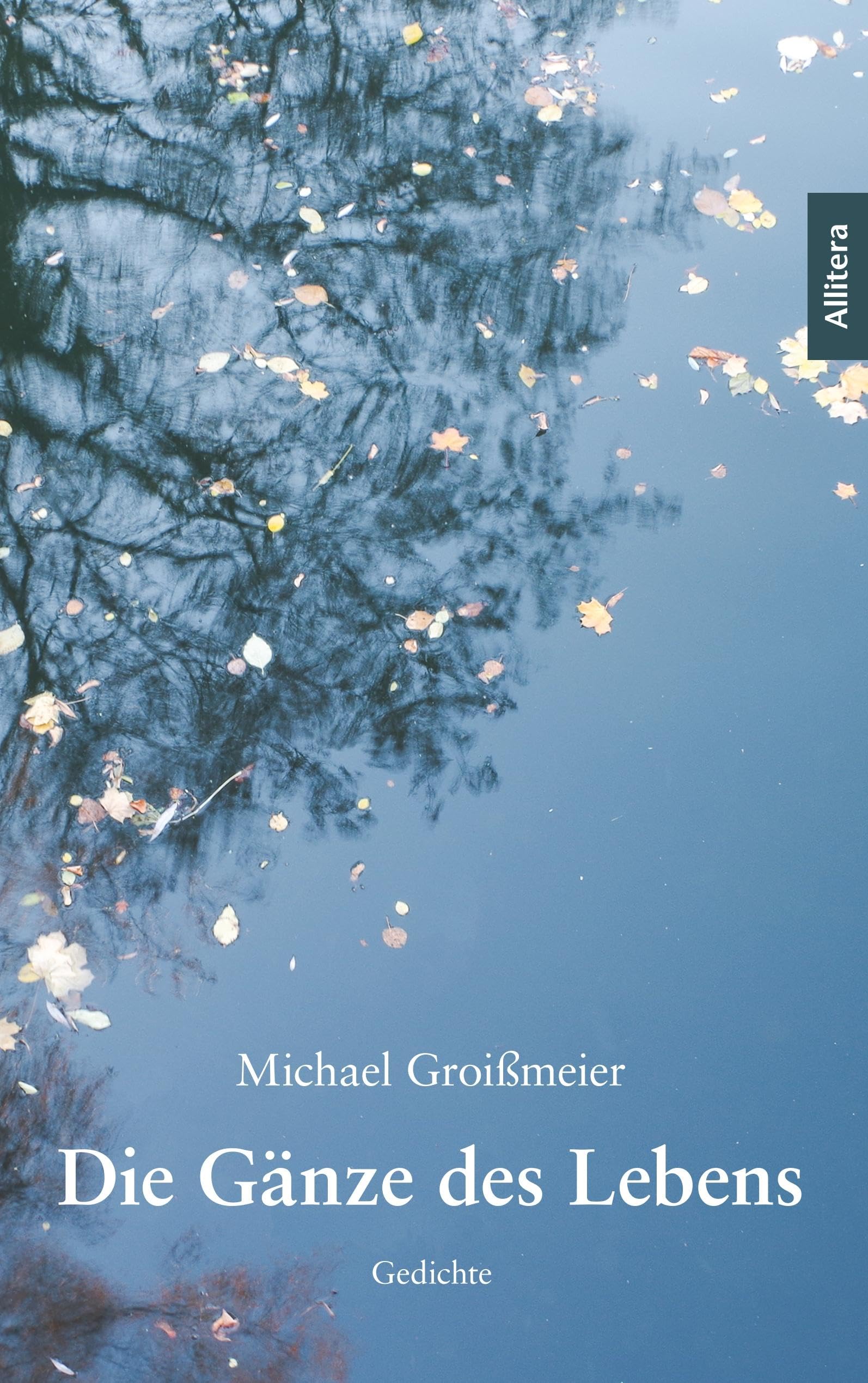 BROTHER Die Gänze des Lebens: Gedichte Poetry