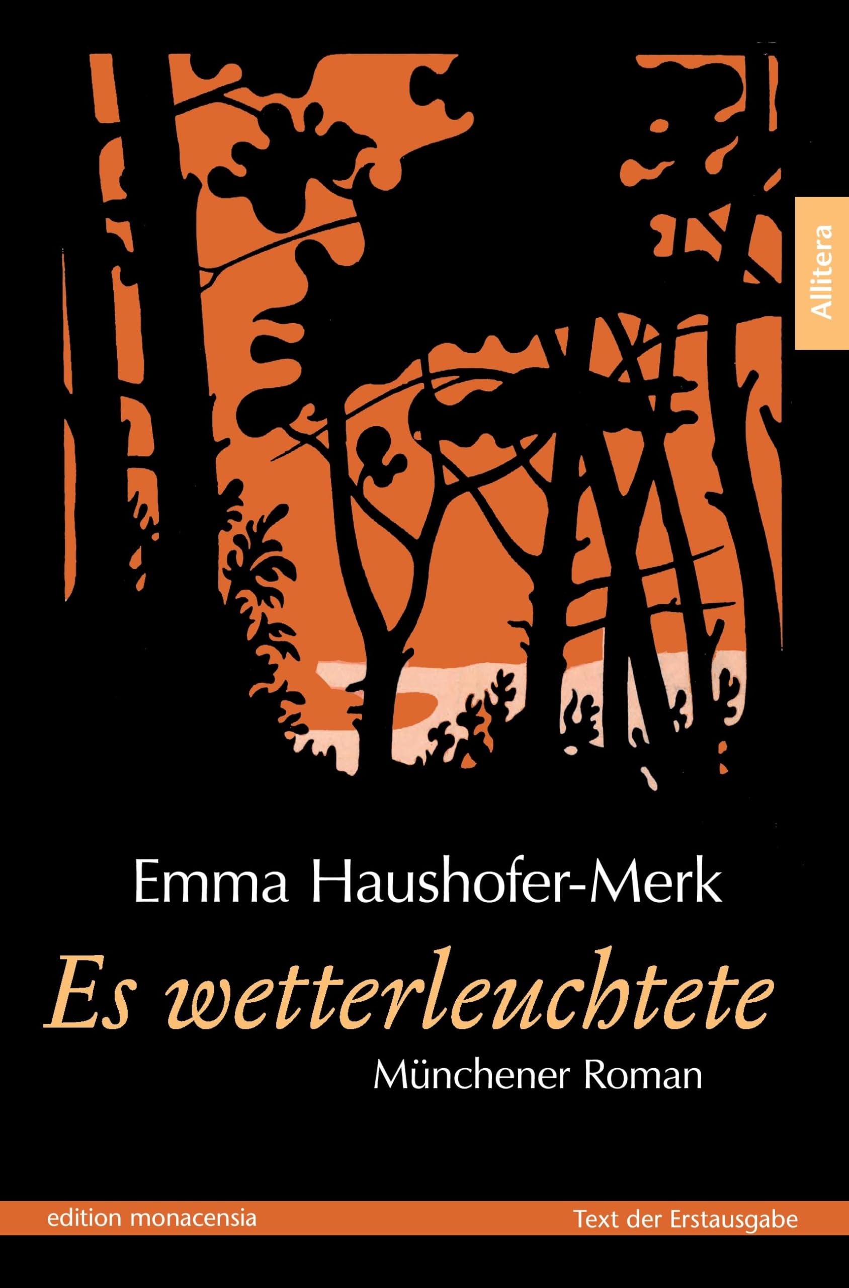 Es wetterleuchtete: Münchener Roman Contemporary literature