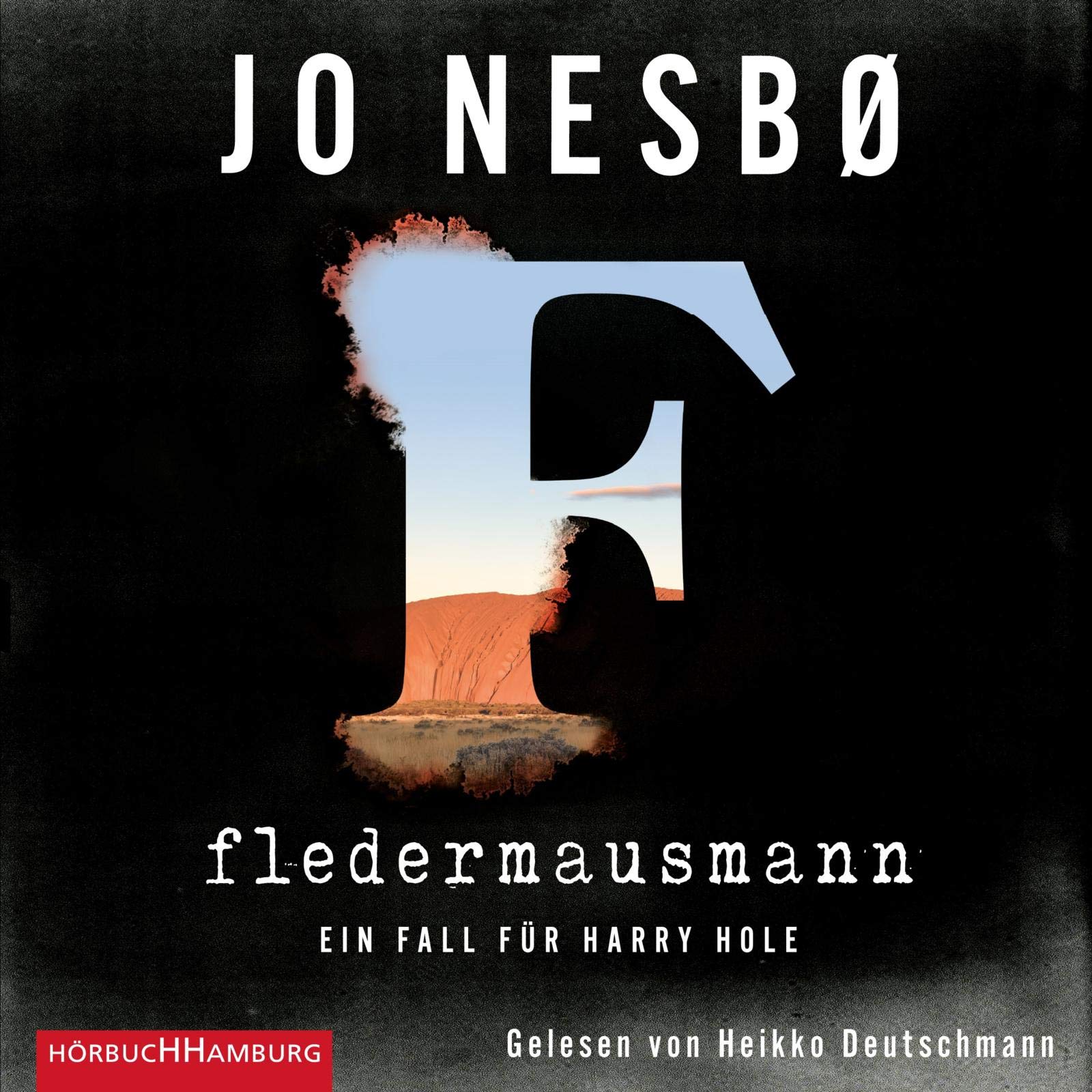 Der Fledermausmann Contemporary literature Books