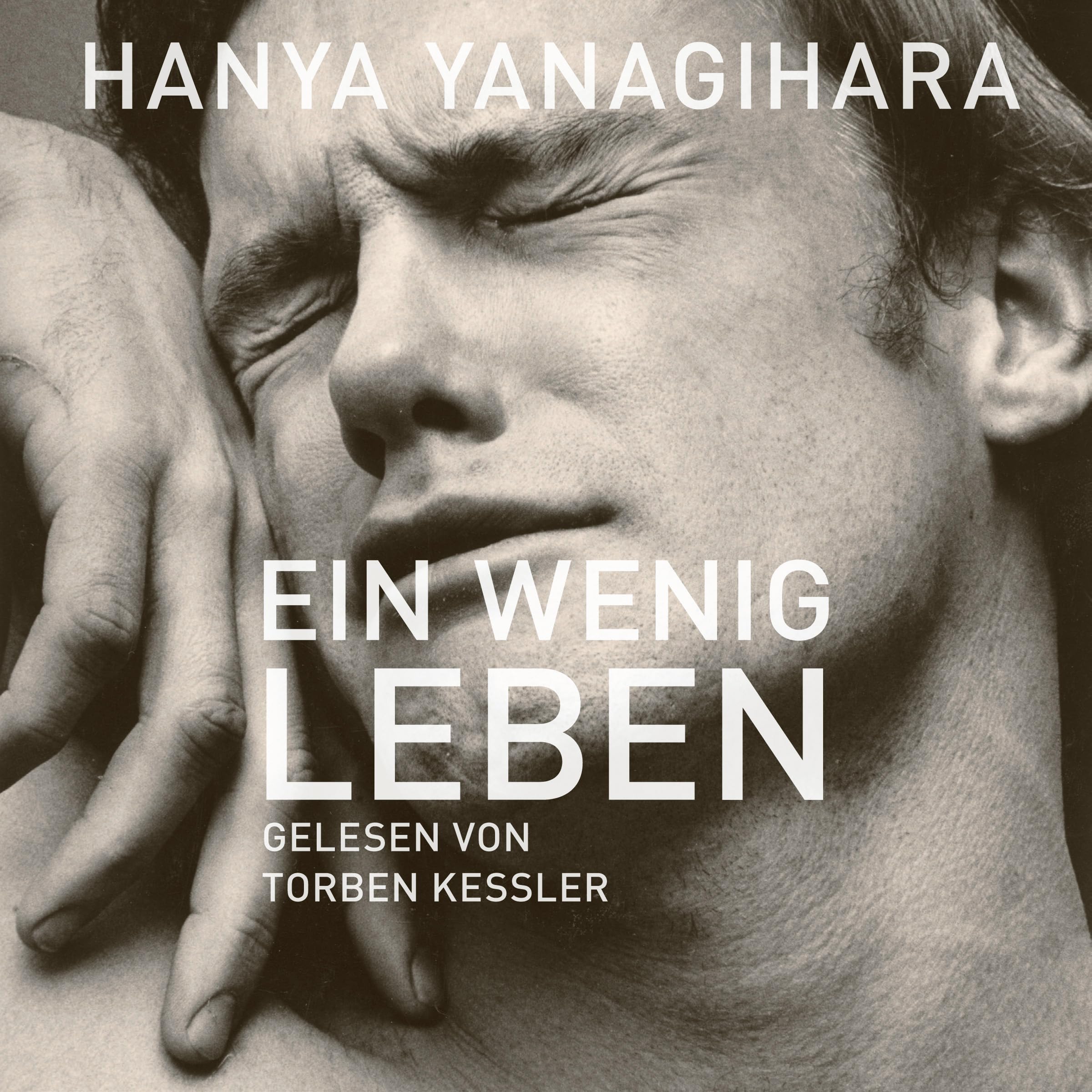 Product Image: Ein wenig Leben