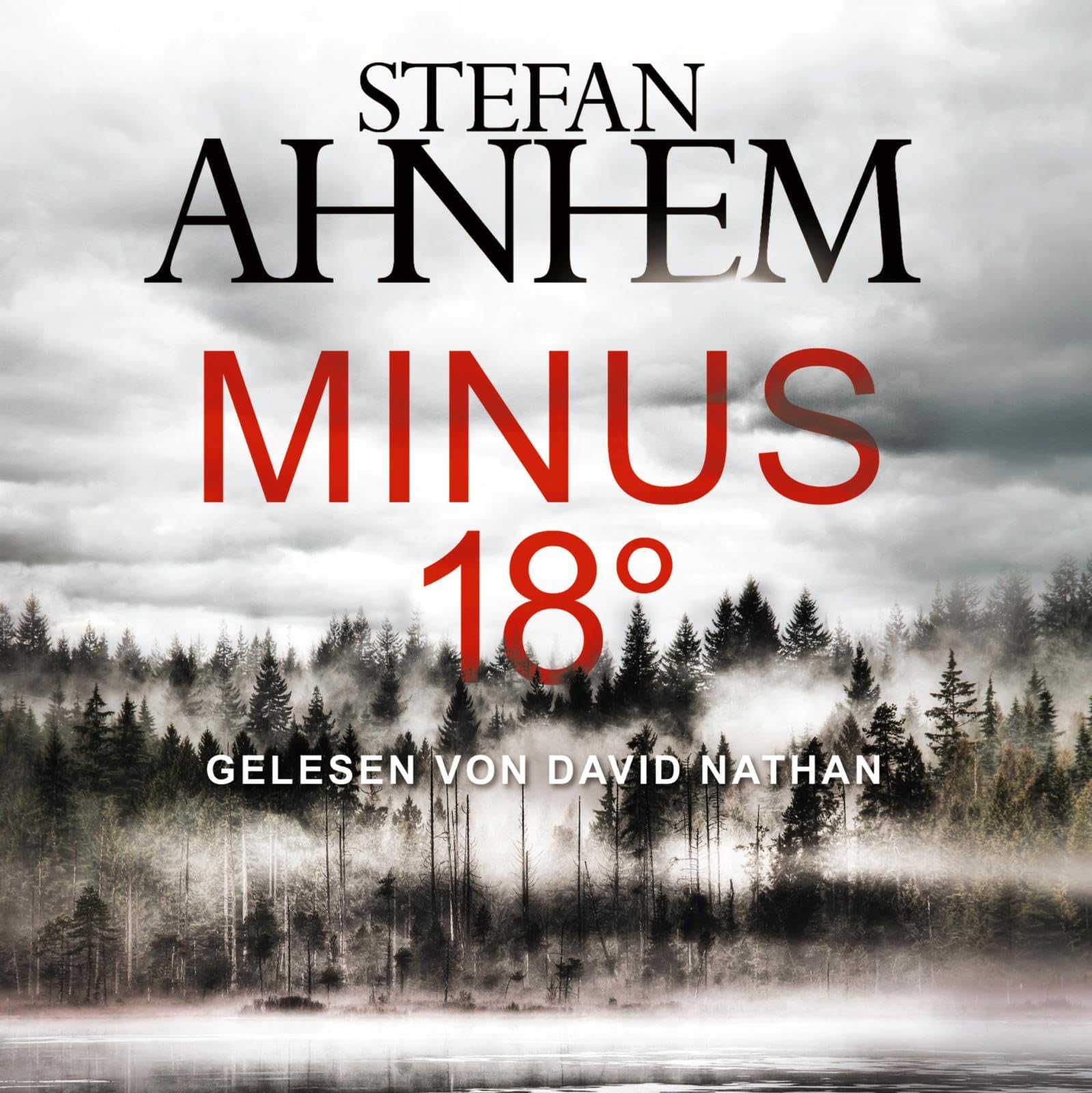 Minus 18 Grad (Ein Fabian-Risk-Krimi 3) Contemporary literature