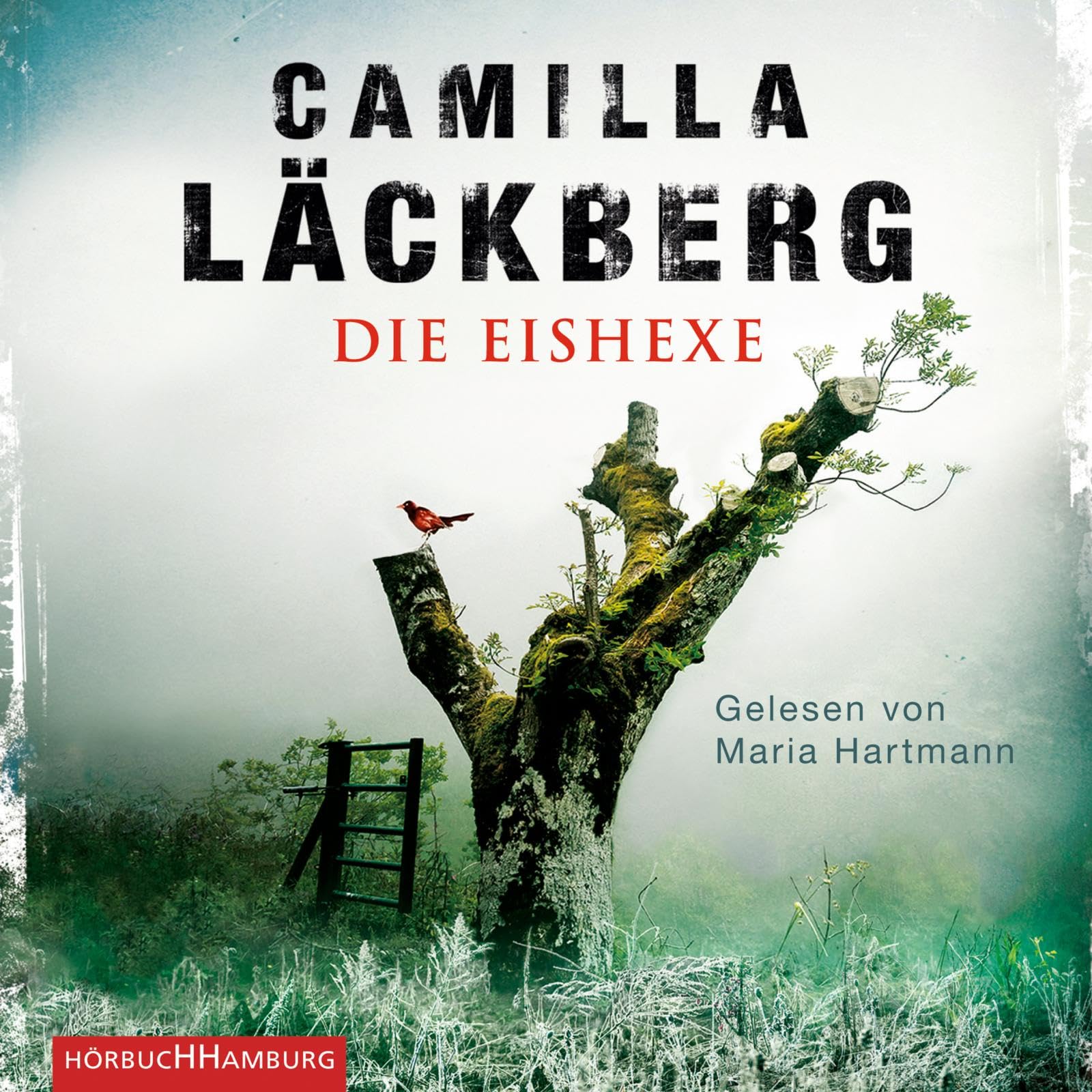 Die Eishexe Fairy Tales & Legends