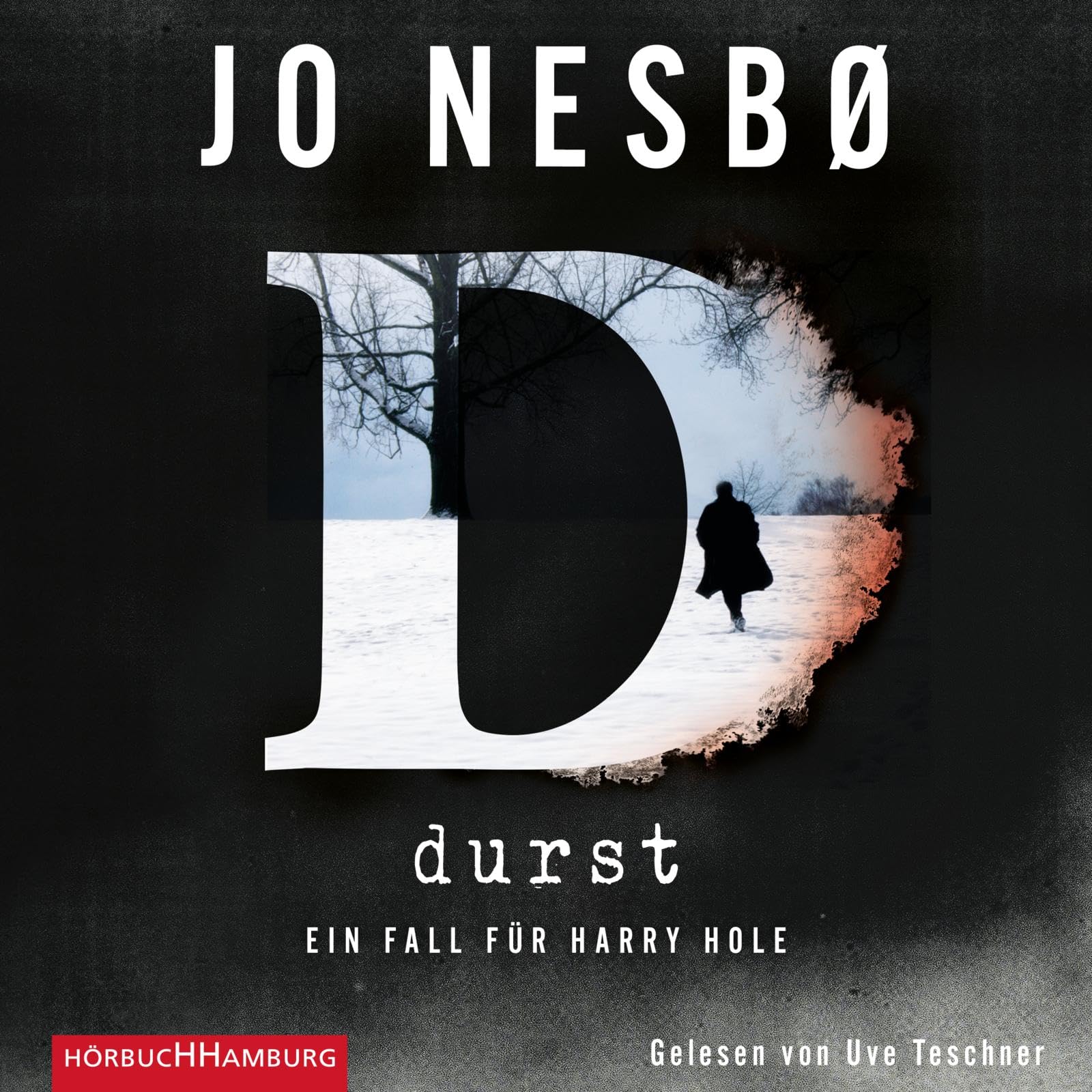 Durst (Ein Harry-Hole-Krimi 11) Contemporary literature Books