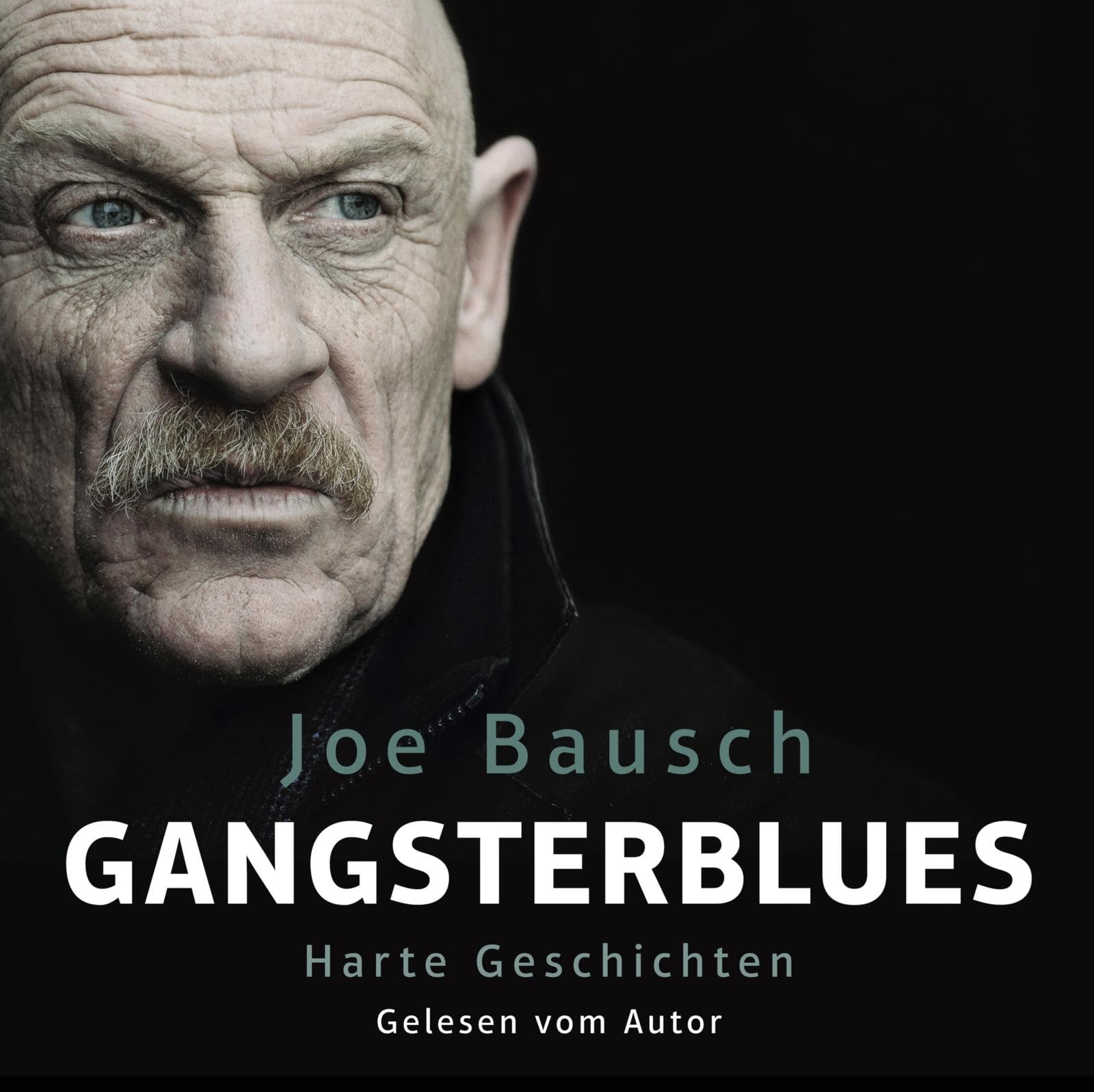 Gangsterblues: Harte Geschichten: 6 CDs Social Sciences