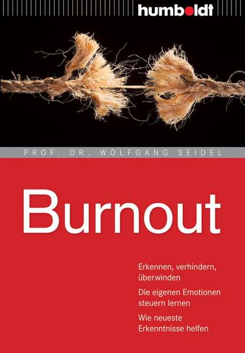 Burnout Social Sciences