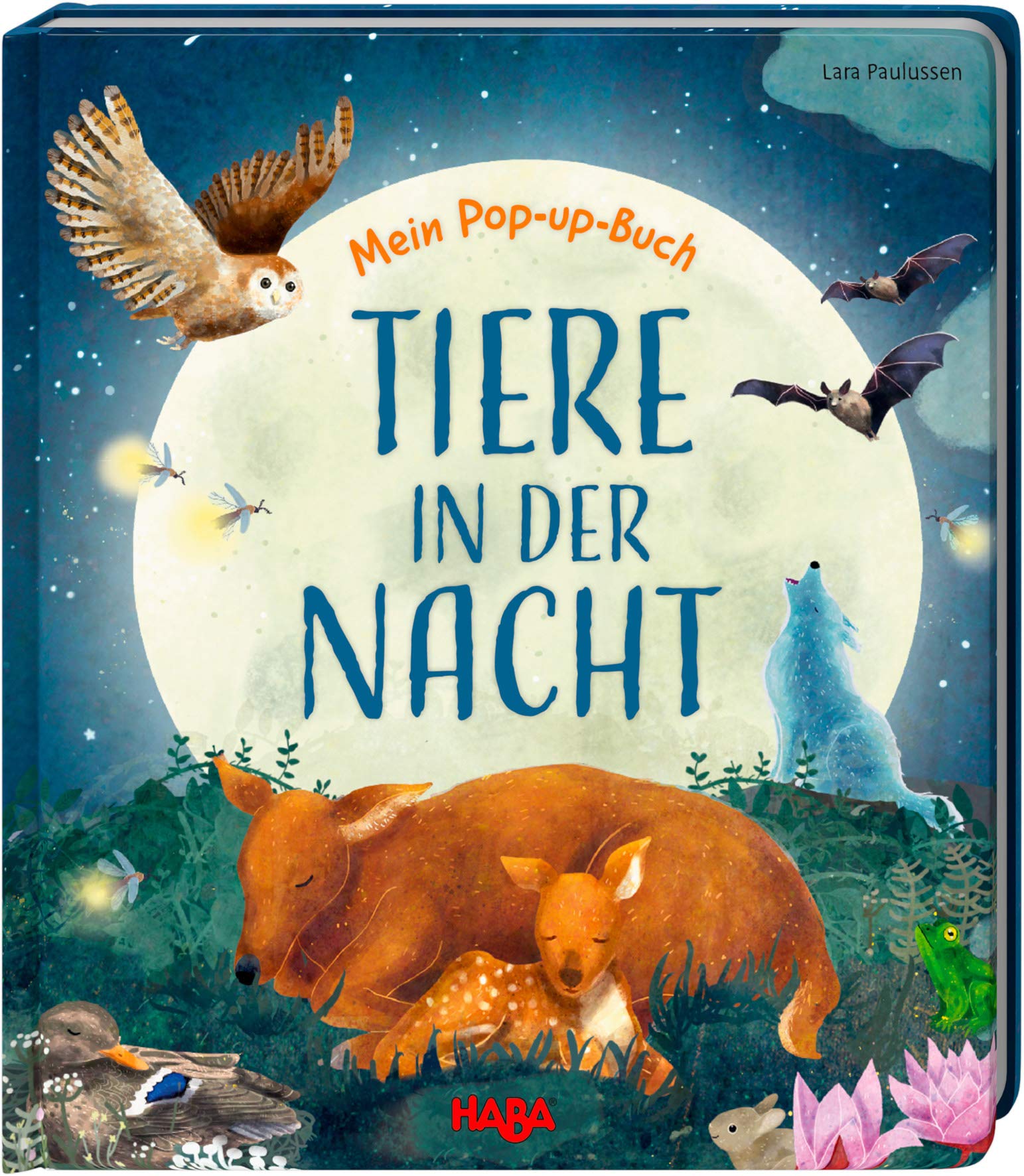 Mein Pop-up-Buch - Tiere in der Nacht book
