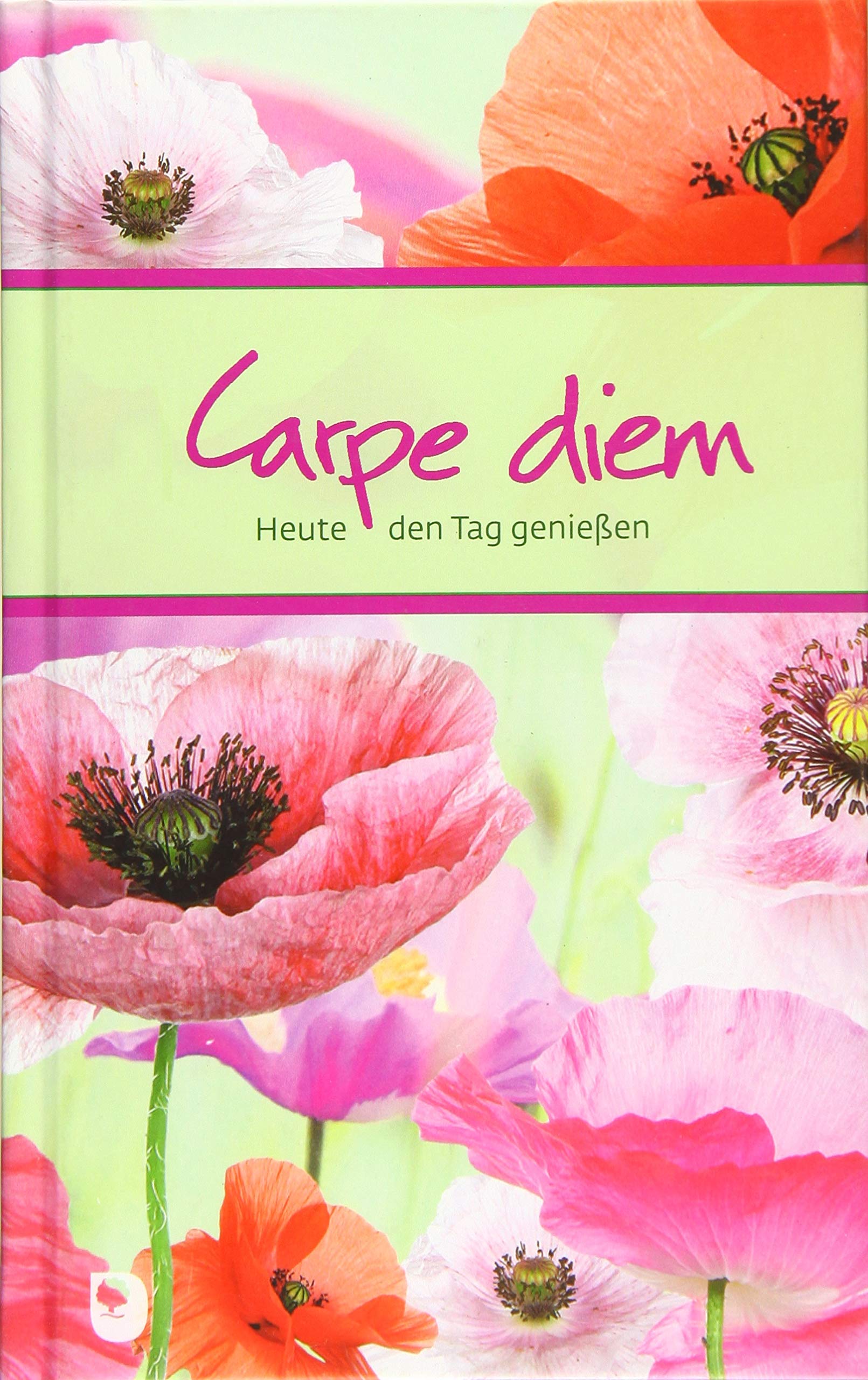 Carpe diem! Lifestyle