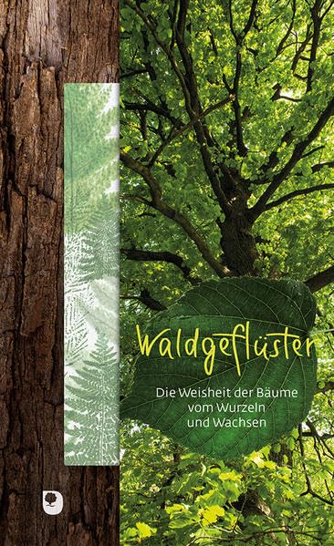 Waldgeflüster Religion & Esotericism