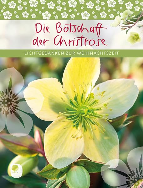 Die Botschaft der Christrose Film, Art & Culture