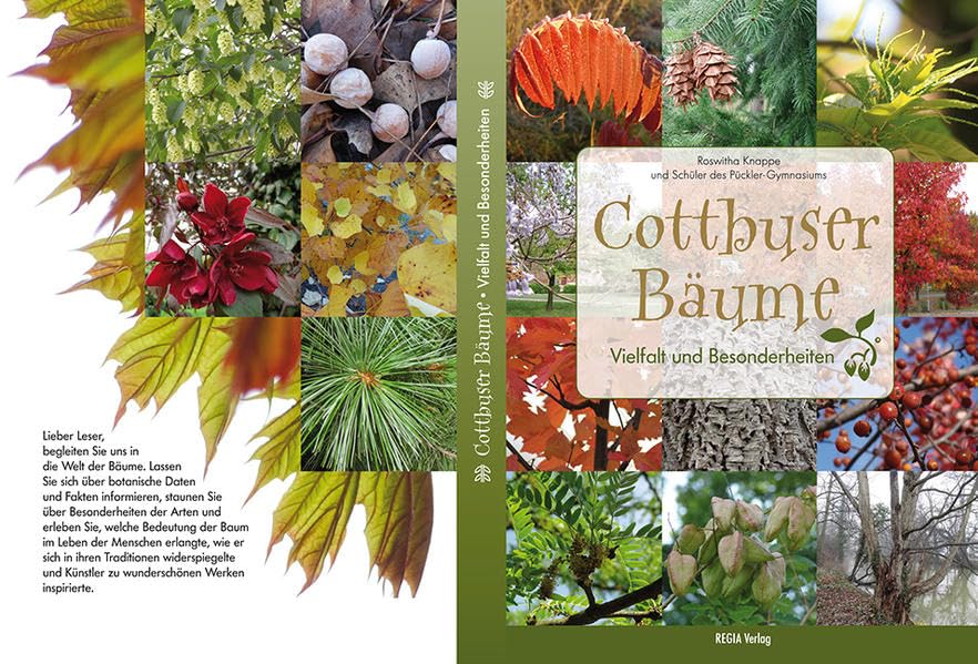 Cottbuser Bäume: Vielfalt ulnd Besonderheiten Leisure, Home & Garden