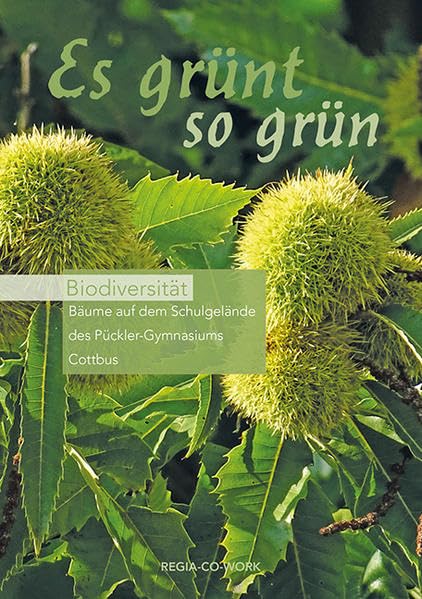 Es günt so grün: Biodiversität-Bäume auf dem Schulgelände des Pückler Gymnasiums Business & Technology