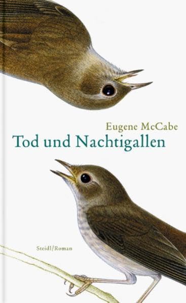 Tod und Nachtigallen Contemporary literature