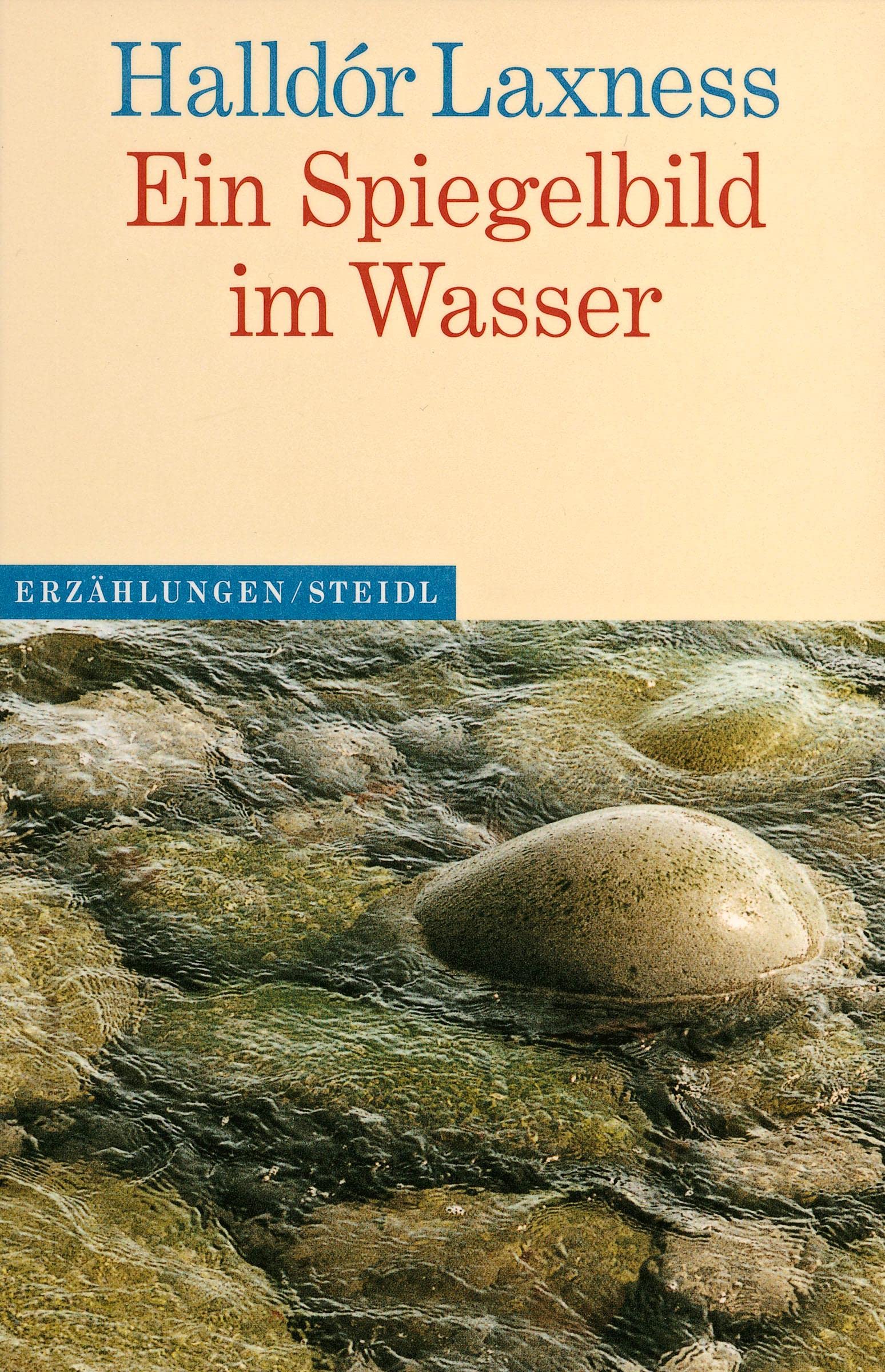 Ein Spiegelbild im Wasser Contemporary literature Books