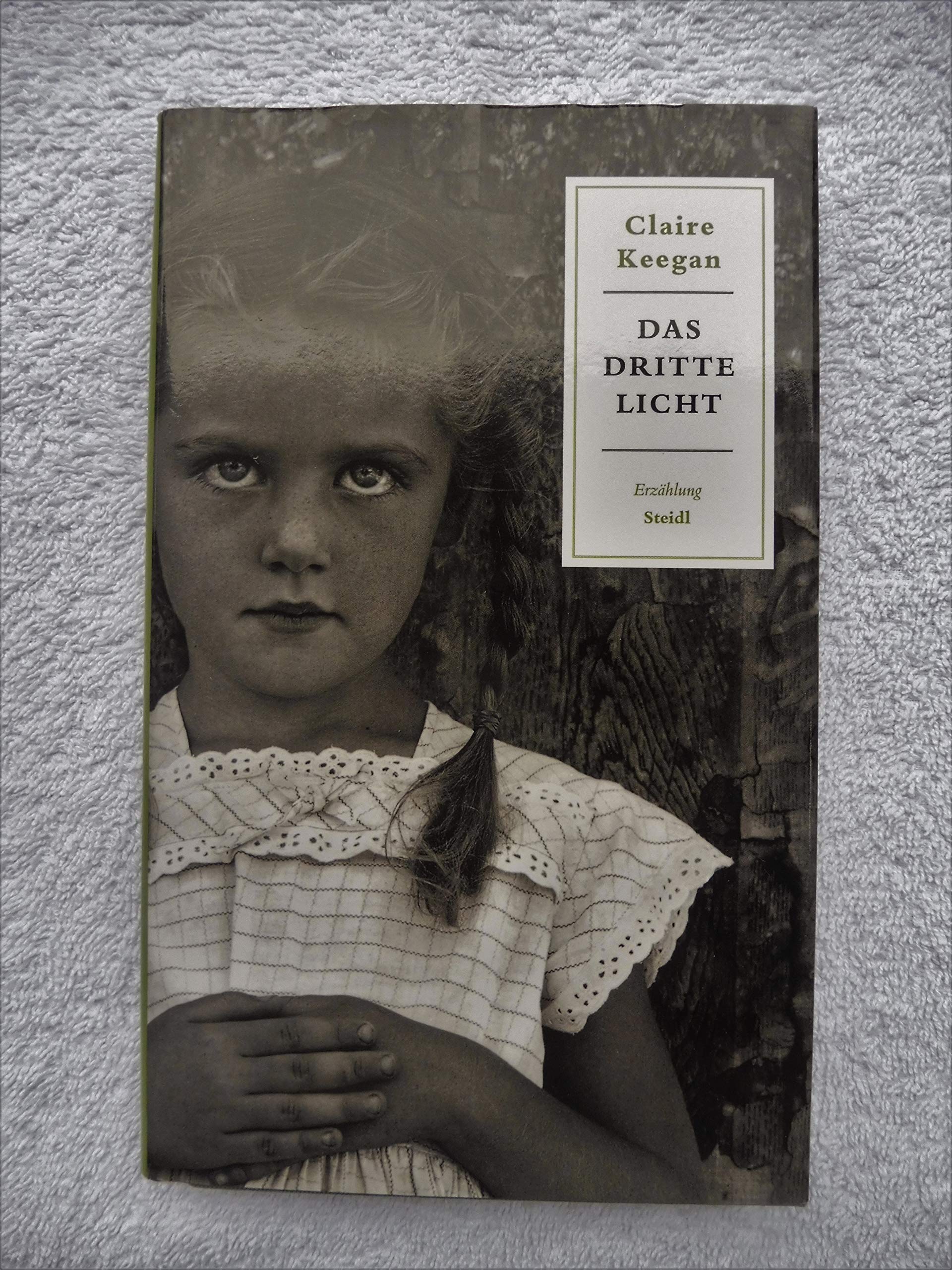 Das dritte Licht Contemporary literature Books