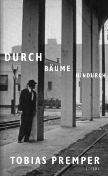 Product Image: Durch Bäume hindurch