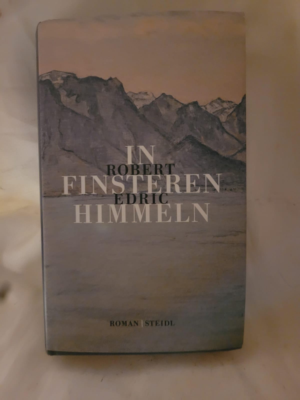 In finsteren Himmeln Contemporary literature Books