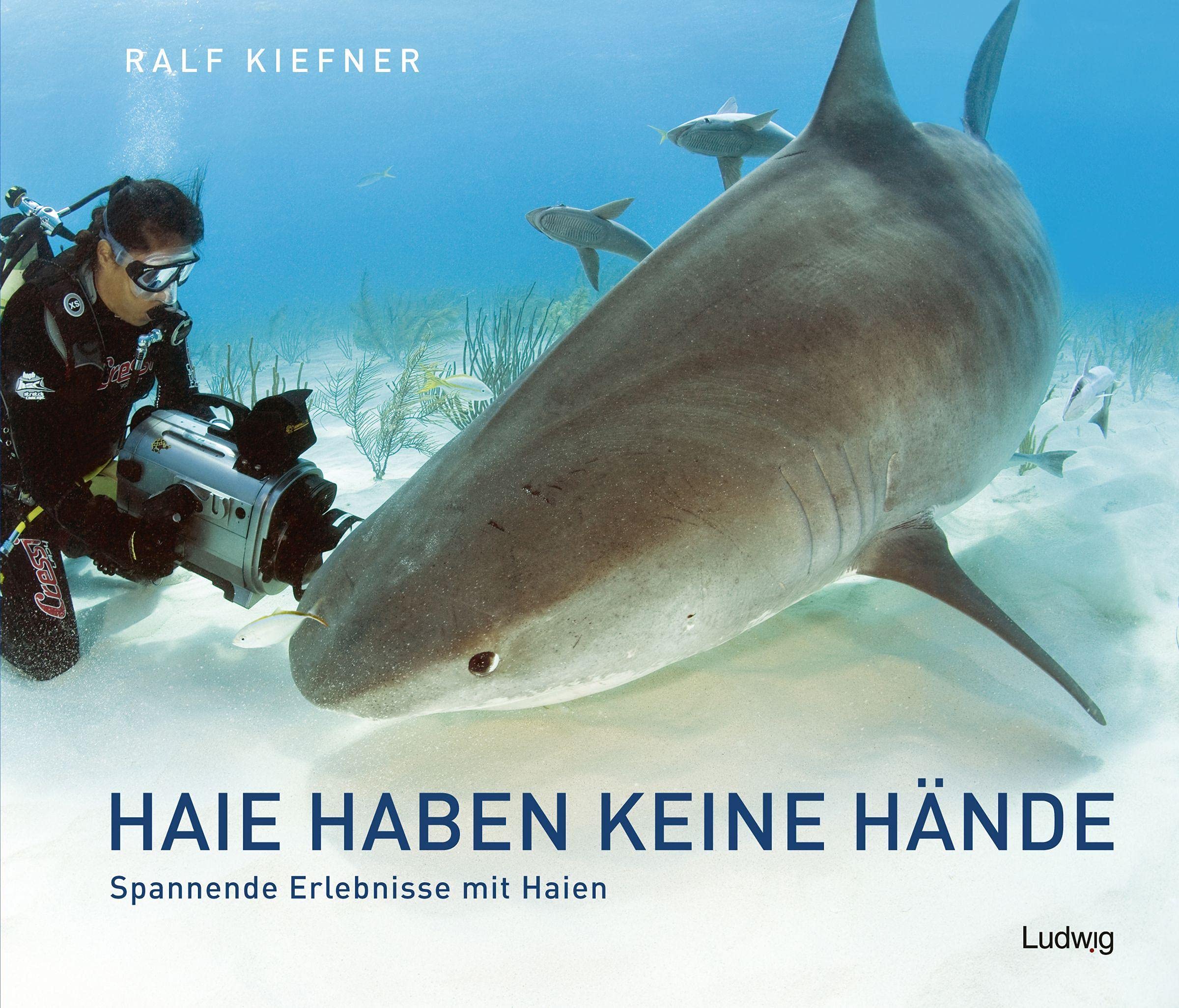 Haie haben keine Hände - Spannende Erlebnisse mit Haien Photography