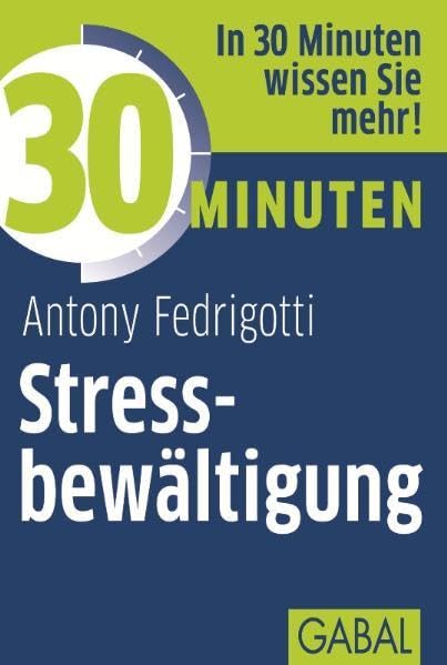 30 Minuten Stressbewältigung Business, Finance & Career