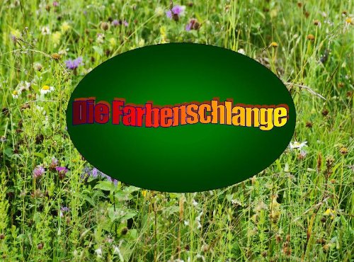 Product Image: Die Farbenschlange