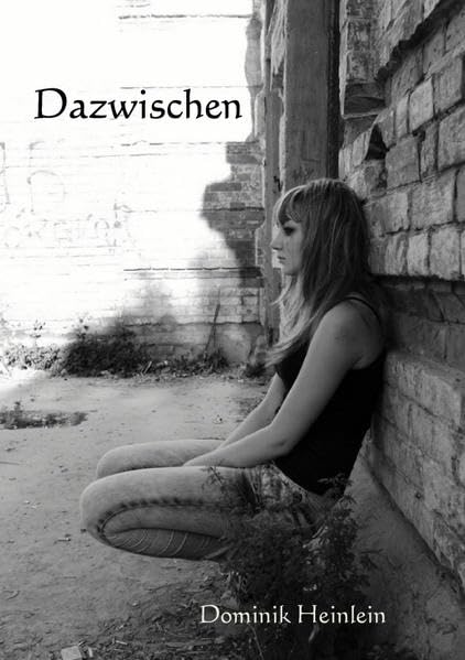 Dazwischen Contemporary literature Books