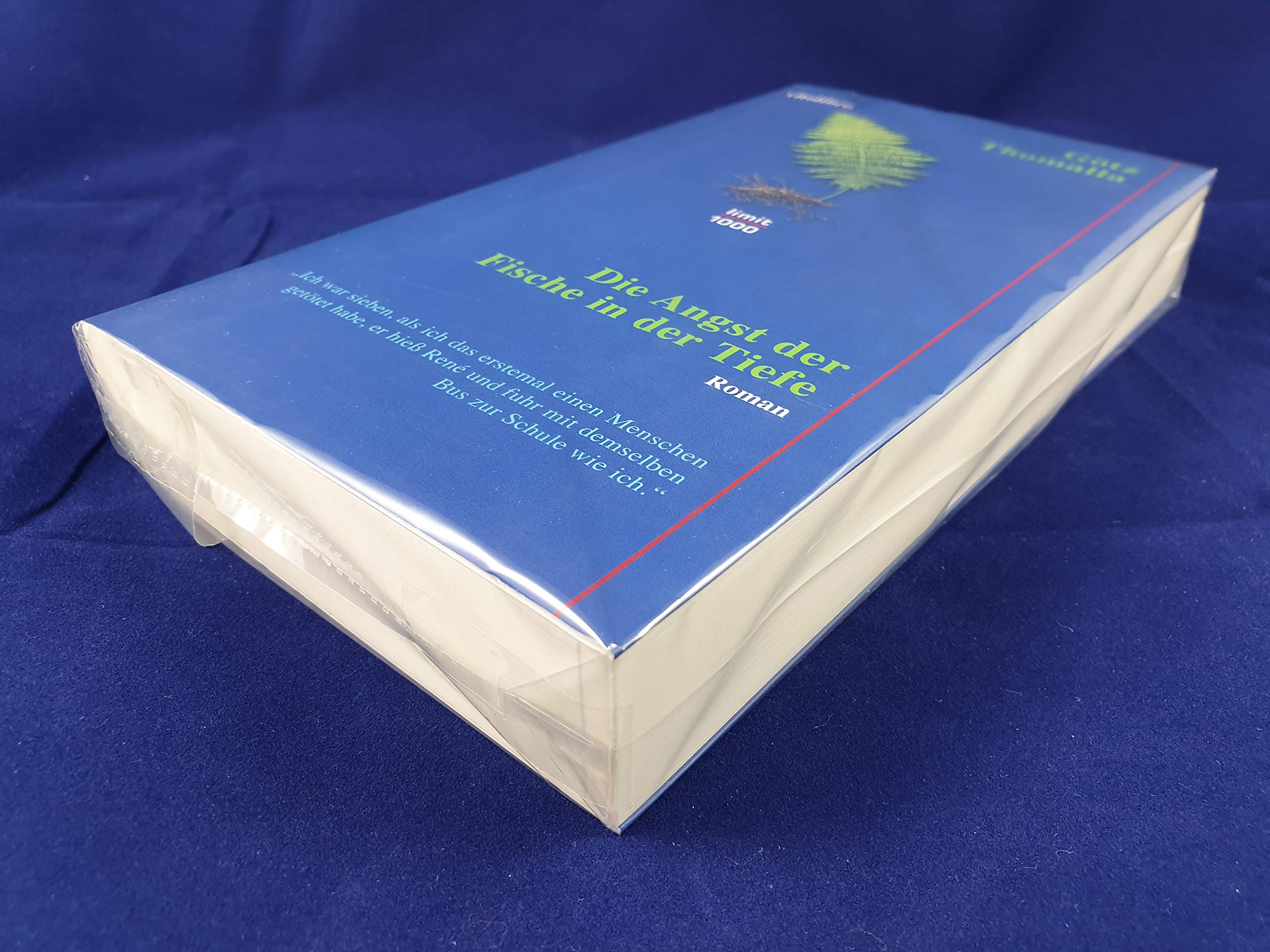 Die Angst der Fische vor der Tiefe: Roman. Contemporary literature