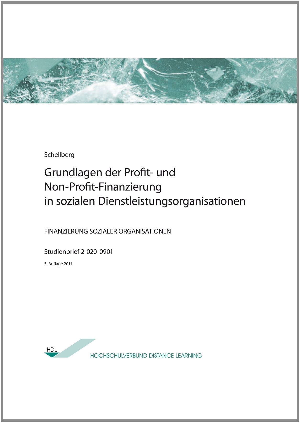 Grundlagen der Profit- und Non-Profit-Finanzierung in sozialen Dienstleistungsorganisationen Law