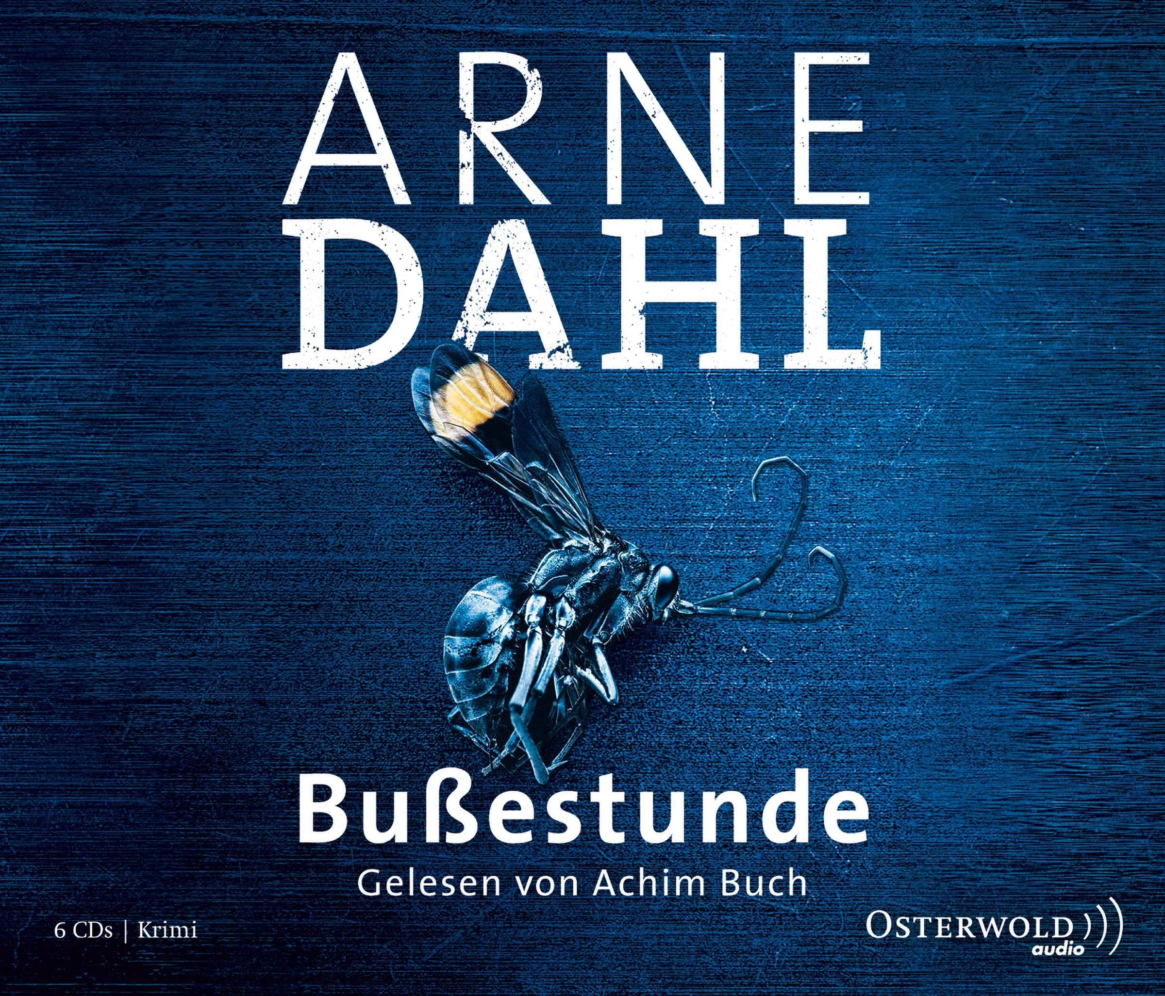 Bußestunde: Kriminalroman: 6 CDs (A-Team, Band 10) Contemporary literature