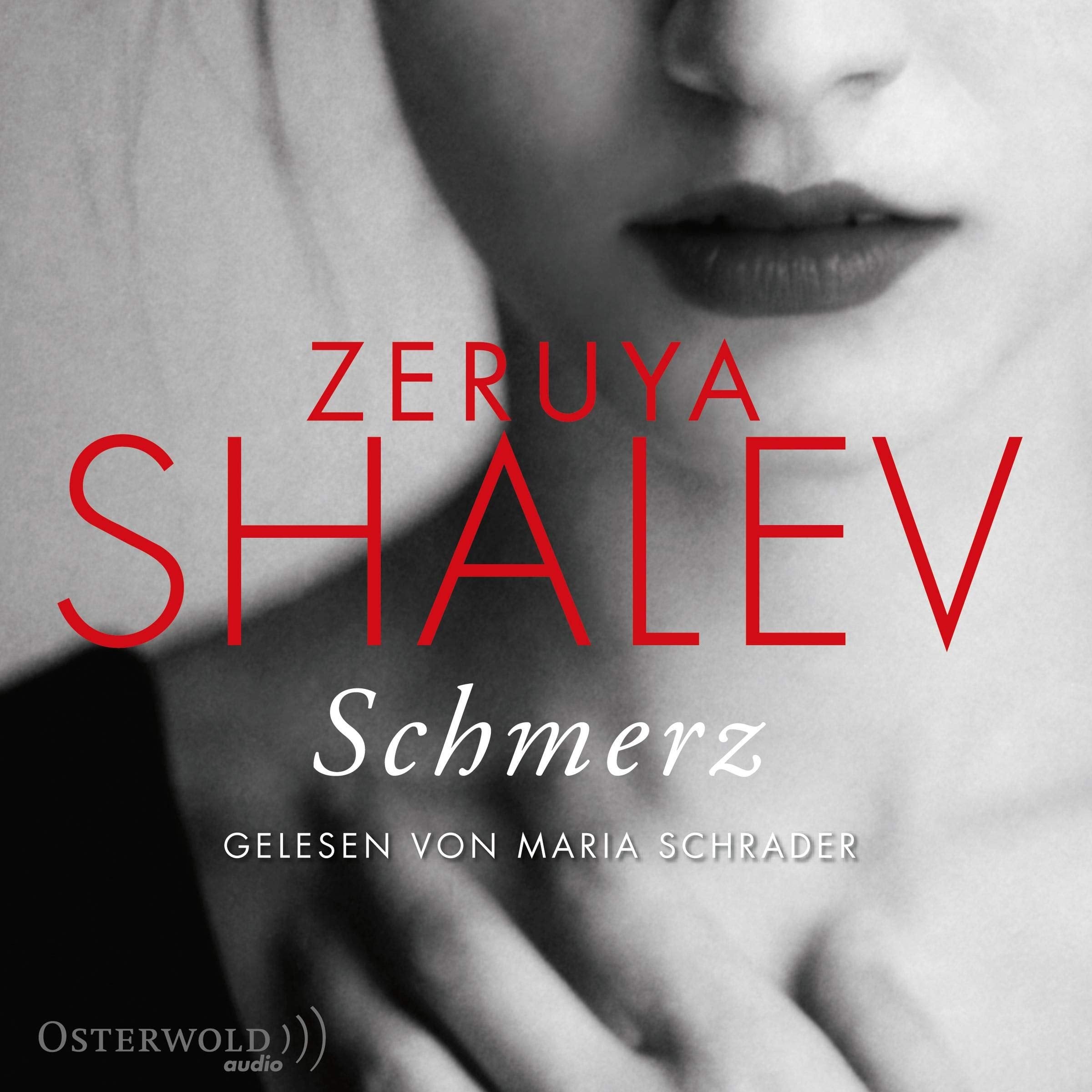 Schmerz: 8 CDs Contemporary literature