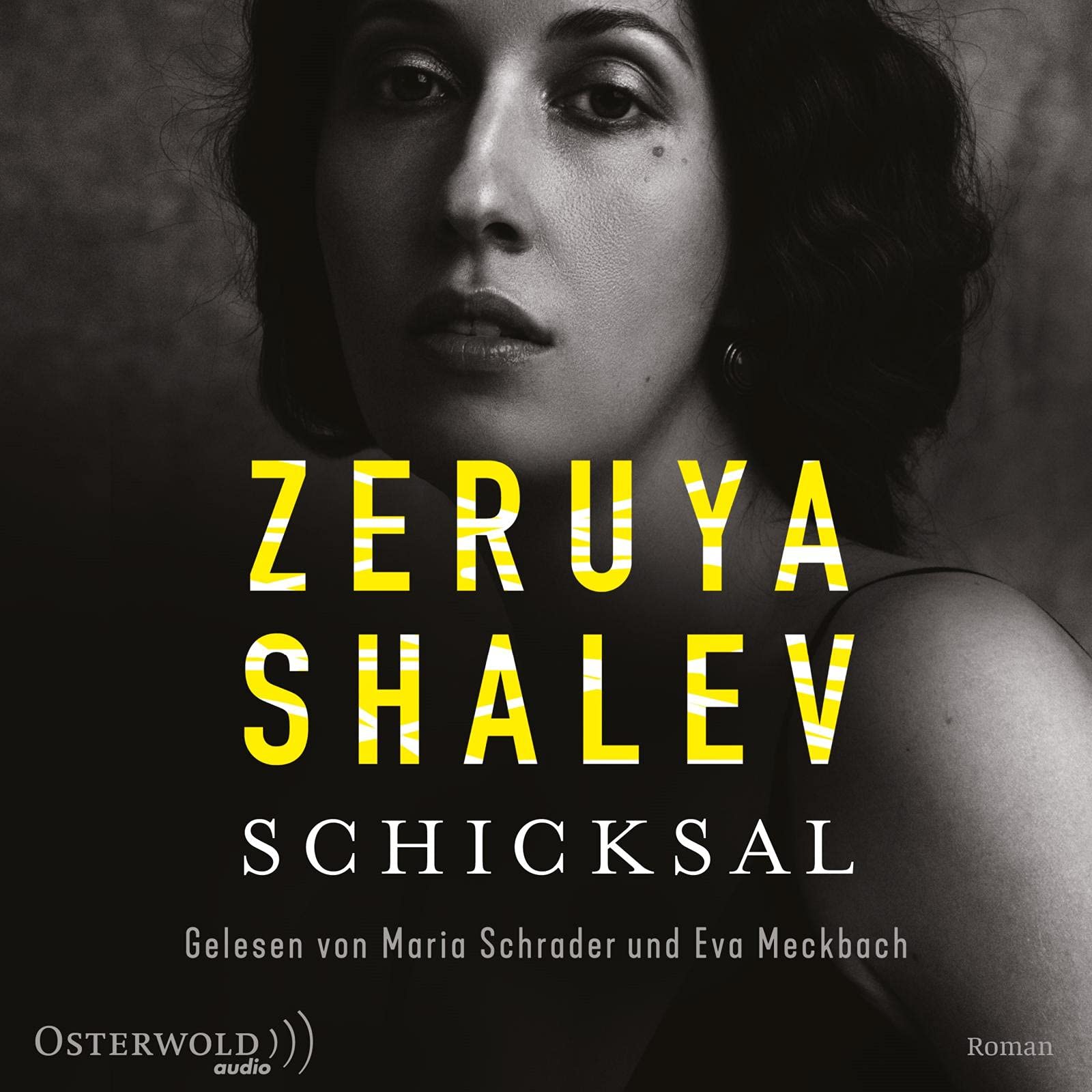Schicksal Contemporary literature Books