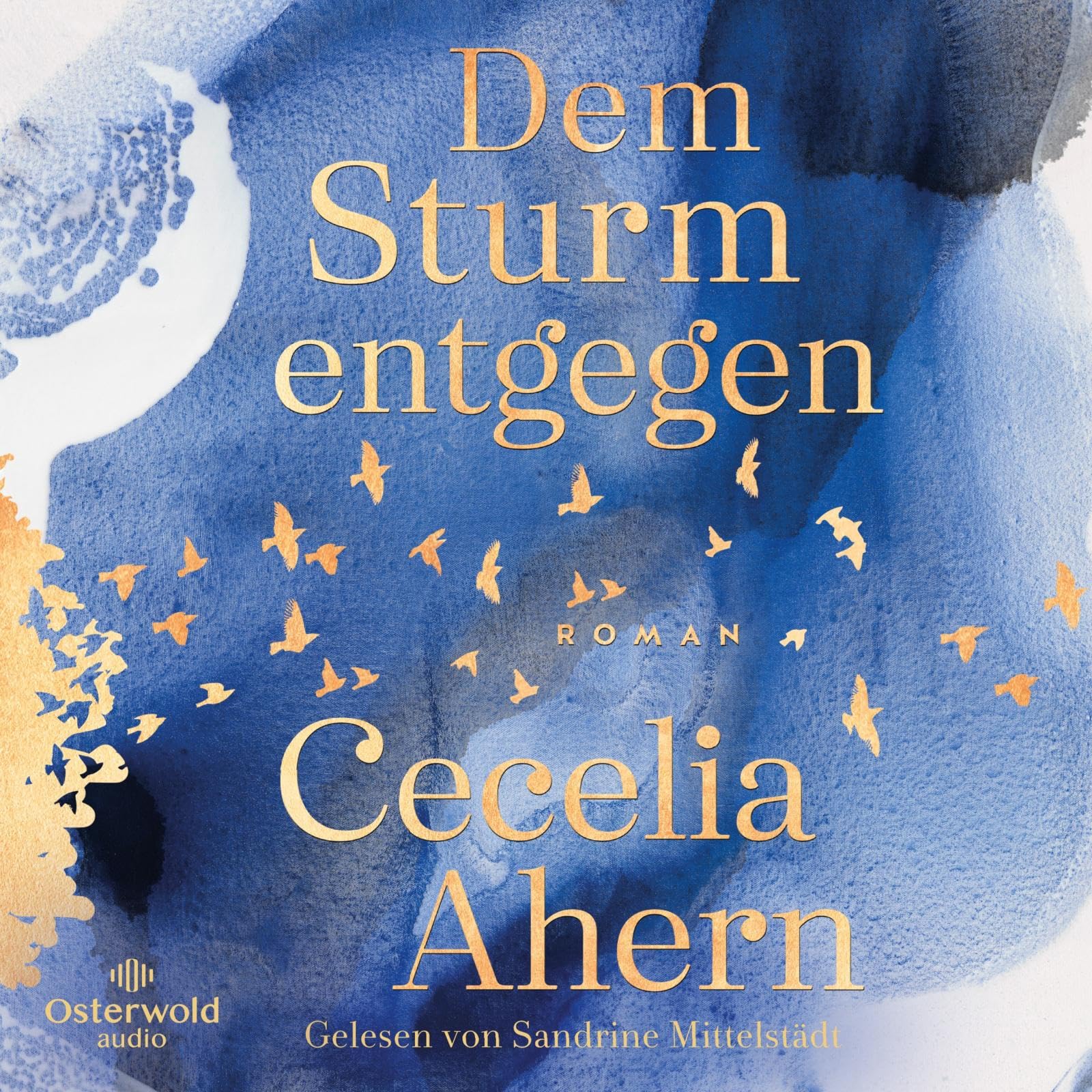 Dem Sturm entgegen Contemporary literature Books