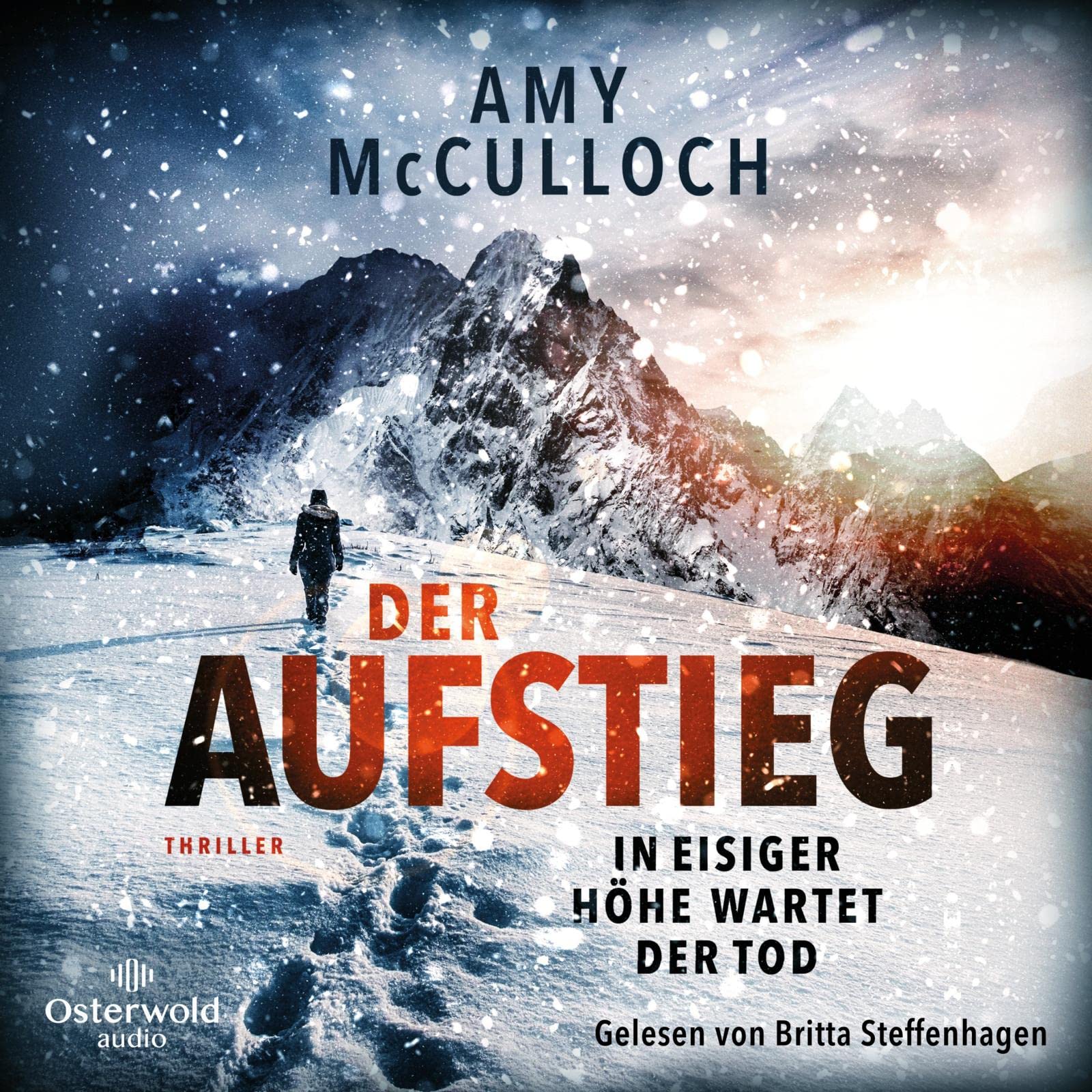 Der Aufstieg - In eisiger Höhe wartet der Tod Action & Adventure