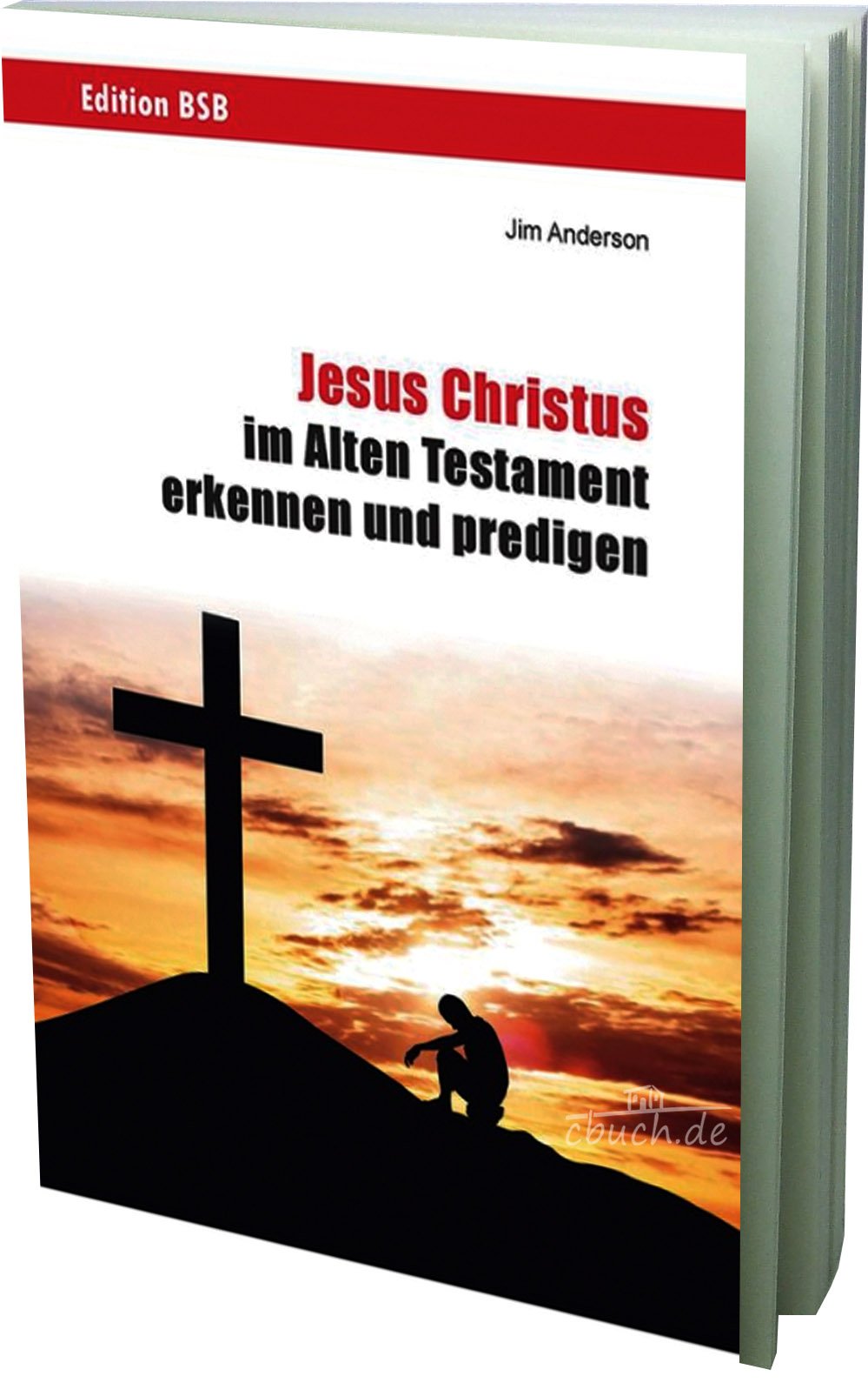 Jesus Christus im Alten Testament erkennen und predigen Religion & Esotericism