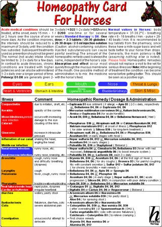 Homeopathy Card for Horses Medicine