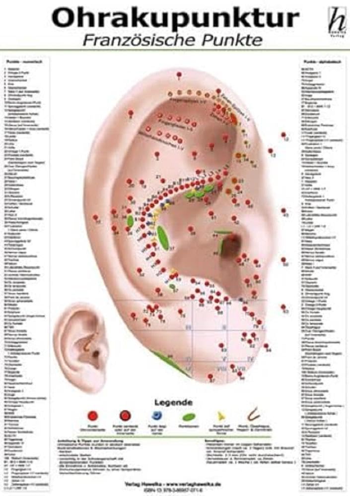 Ohrakupunktur Mini-Poster - französische Punkte DIN A4 Medicine