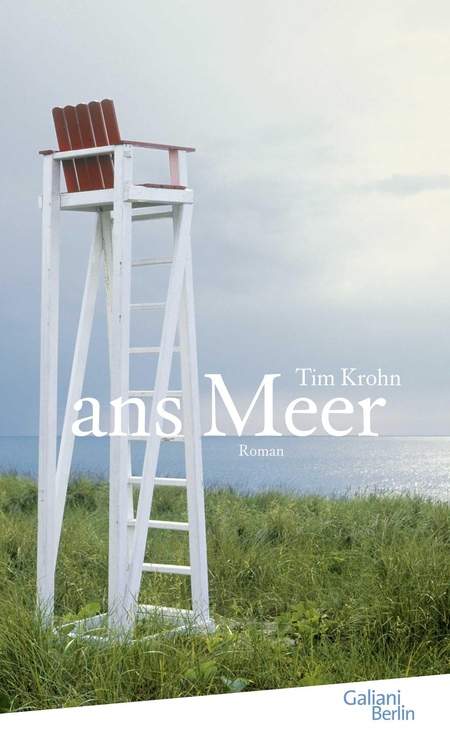 Ans Meer: Roman Contemporary literature