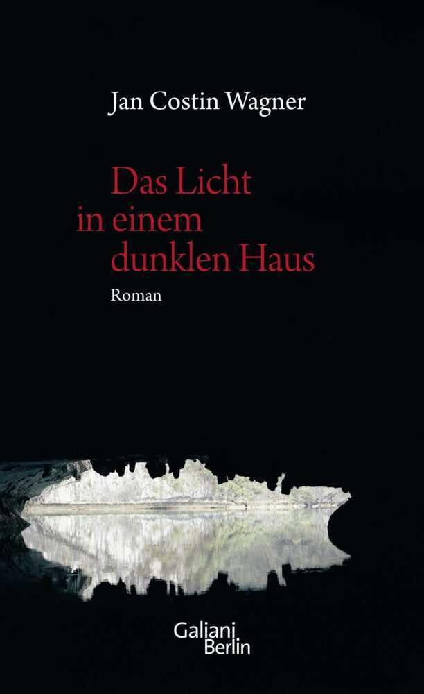 Das Licht in einem dunklen Haus Contemporary literature