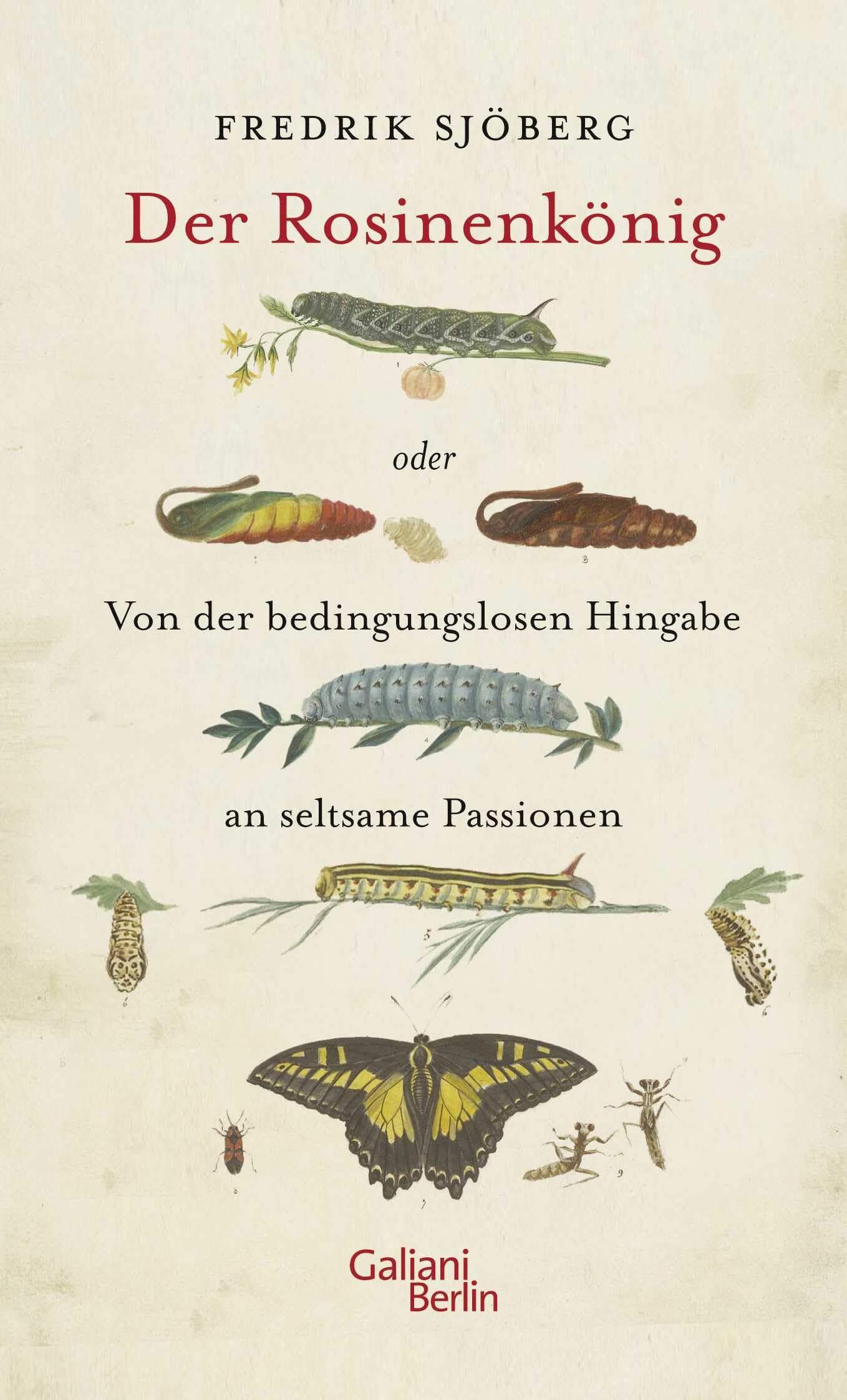 Der Rosinenkönig oder Von der bedingungslosen Hingabe an seltsame Passionen Contemporary literature
