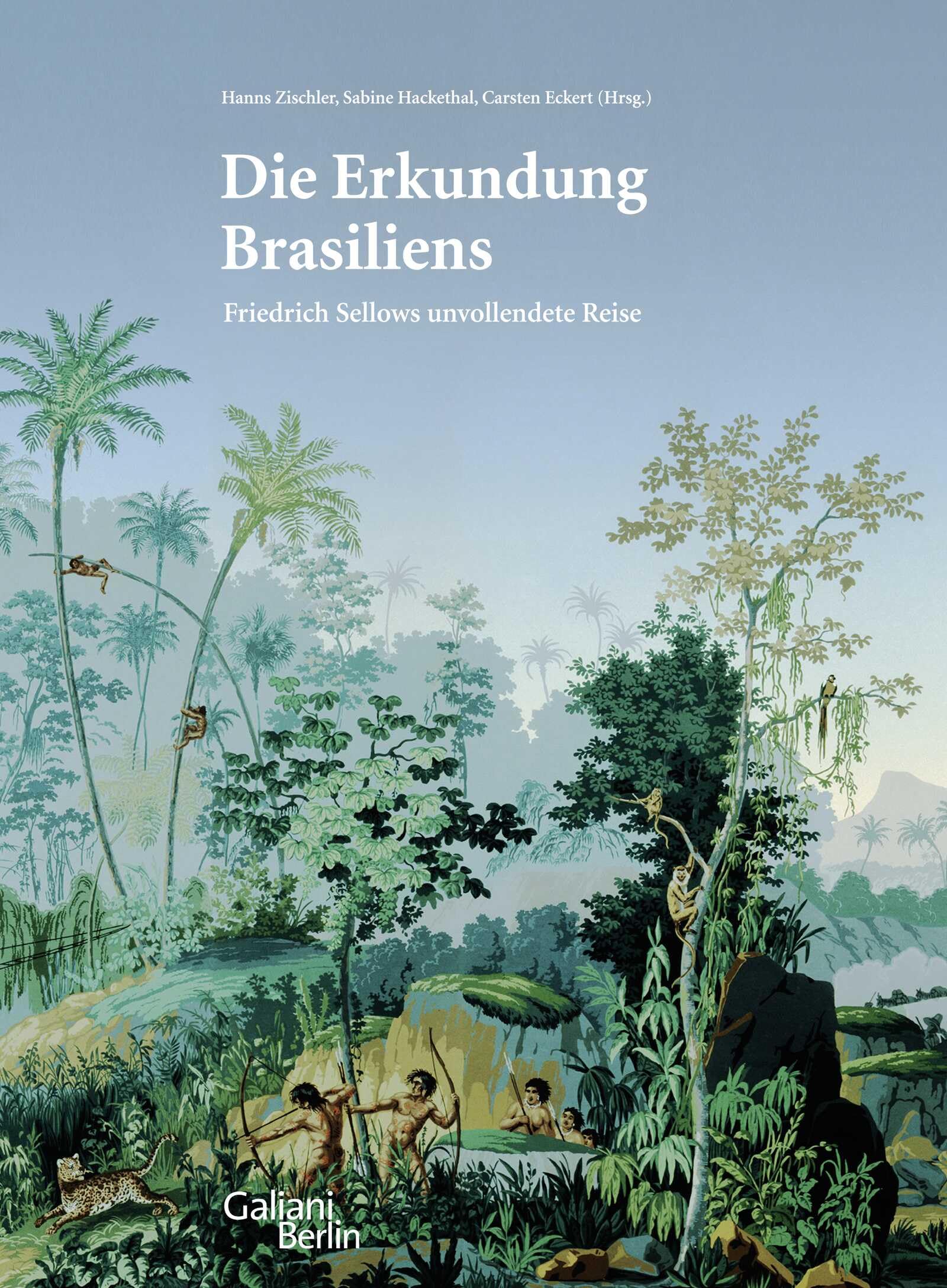 Die Erkundung Brasiliens: Friedrich Sellows unvollendete Reise Essays & Short Stories