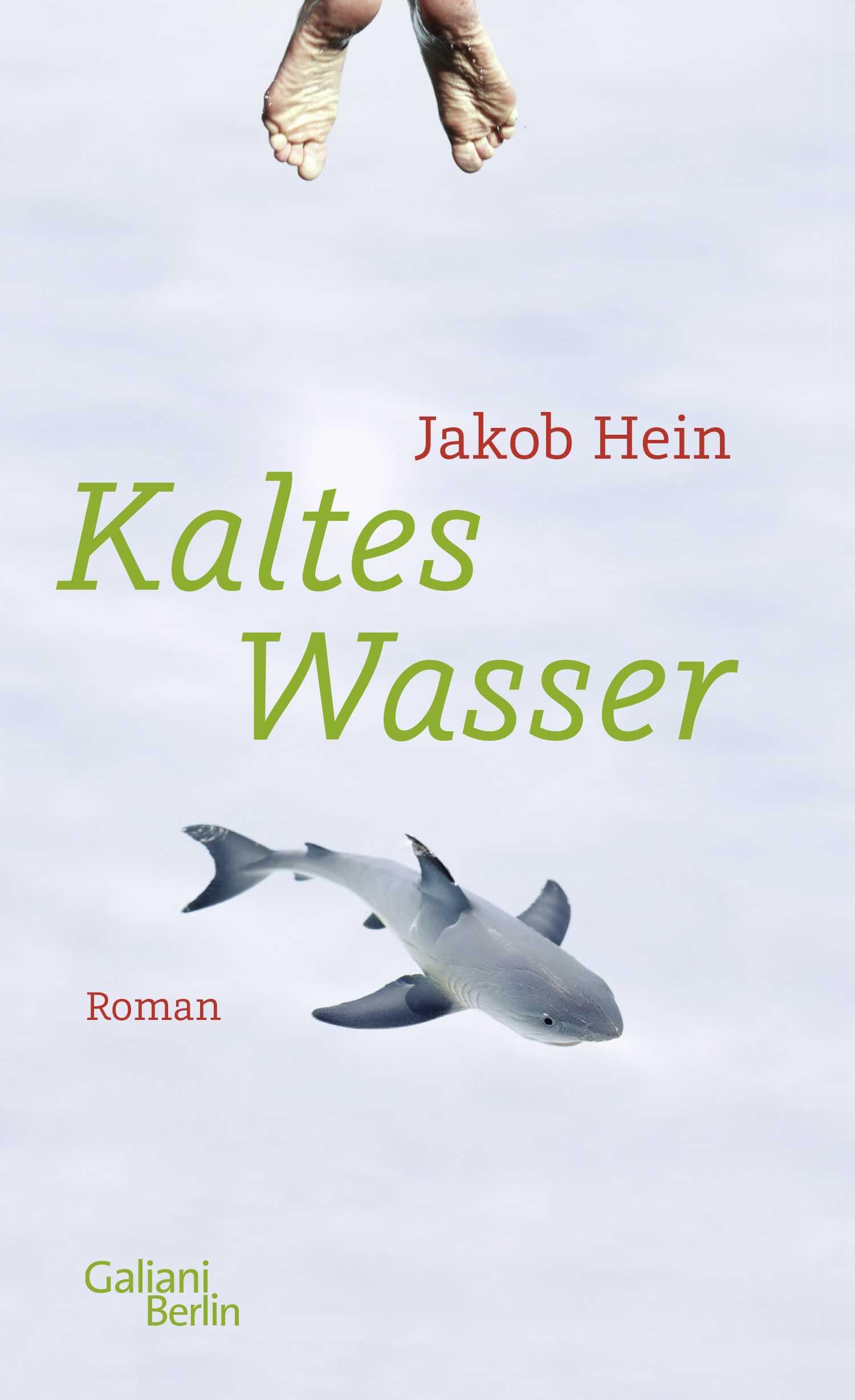 Kaltes Wasser Contemporary literature Books