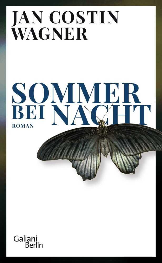 Sommer bei Nacht Contemporary literature