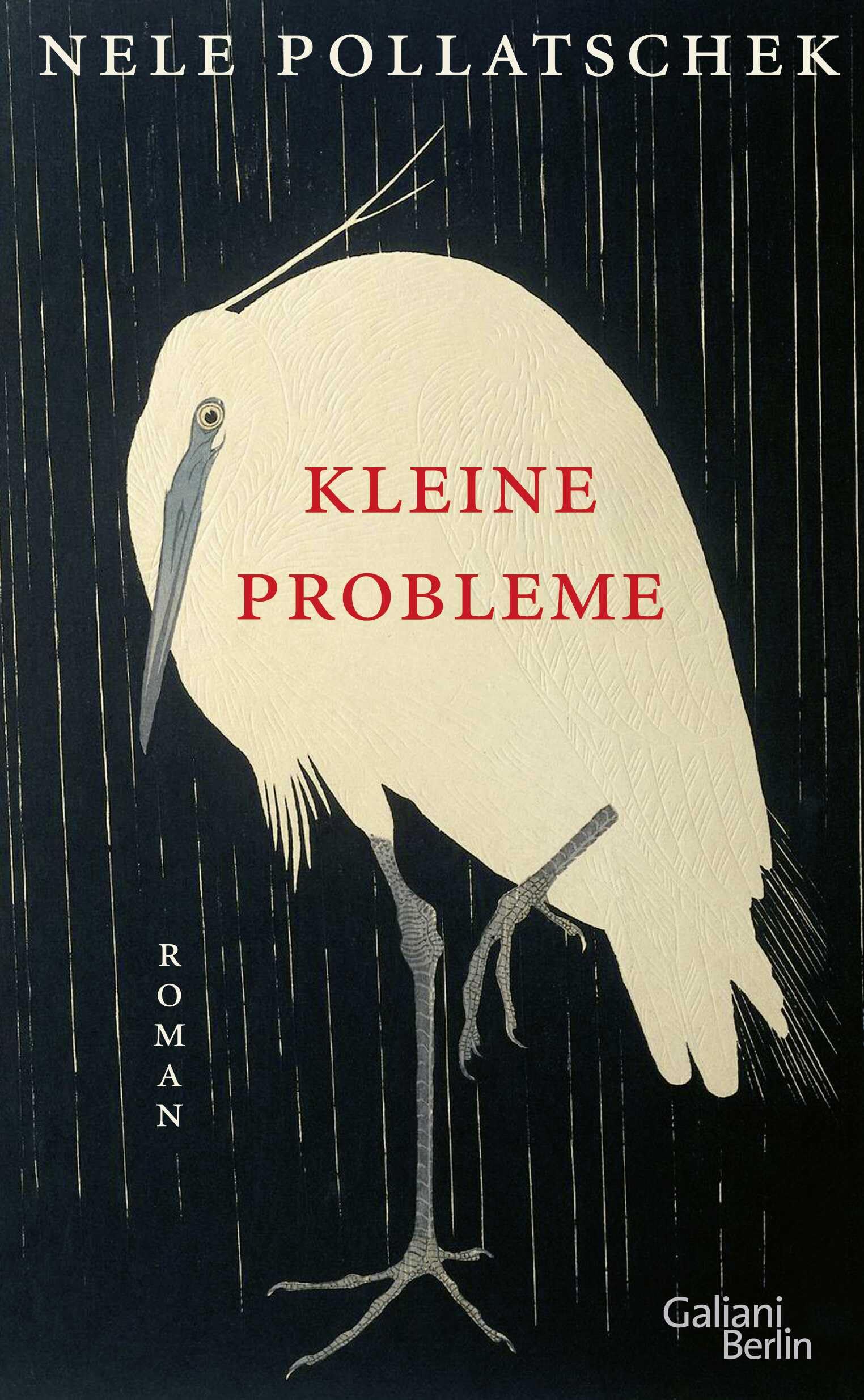 Kleine Probleme Contemporary literature Books